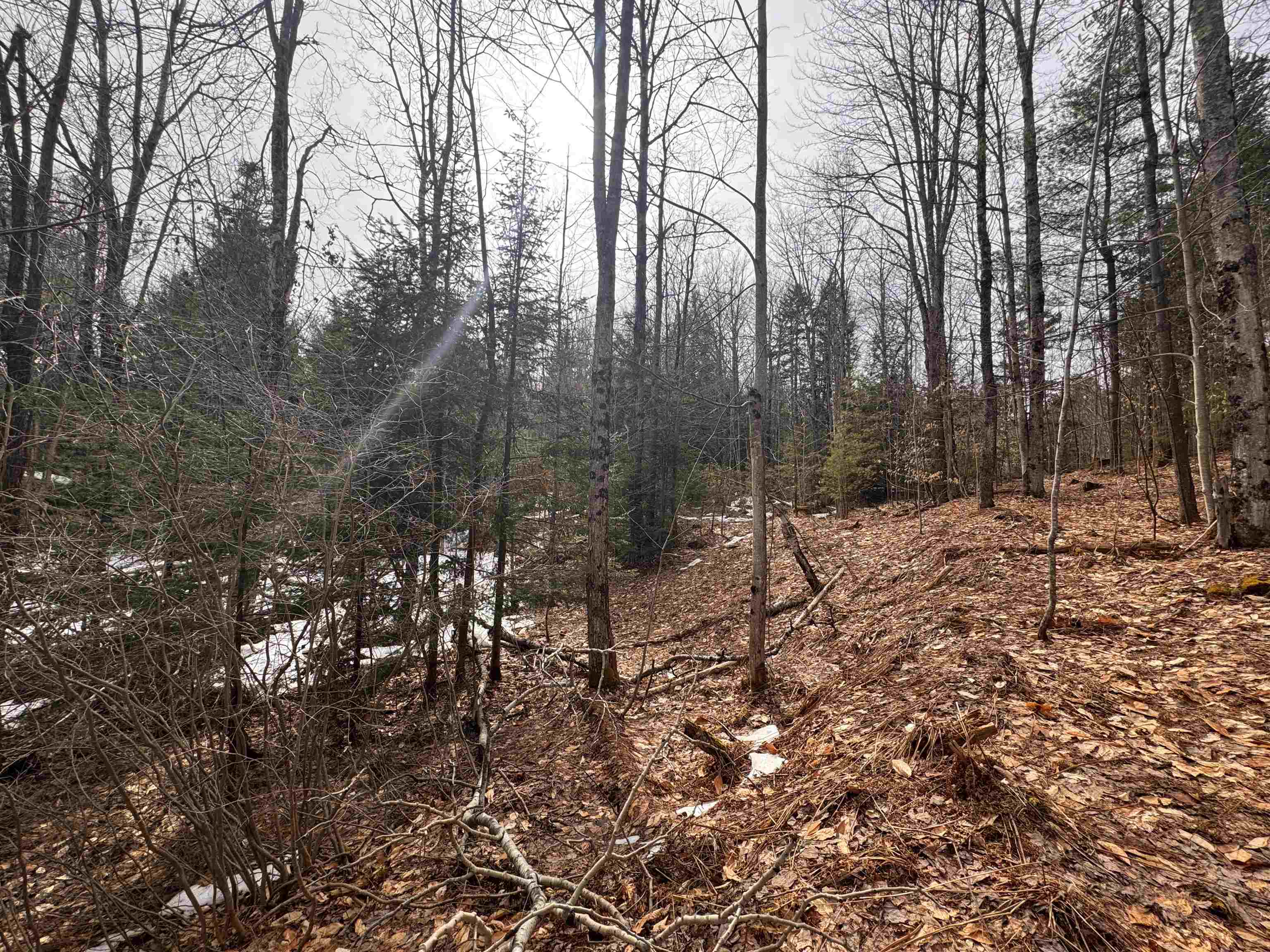 Homes for sale in Jay, VT | 0 Cross Rd, Jay, VT 05859 | MLS# 5002245