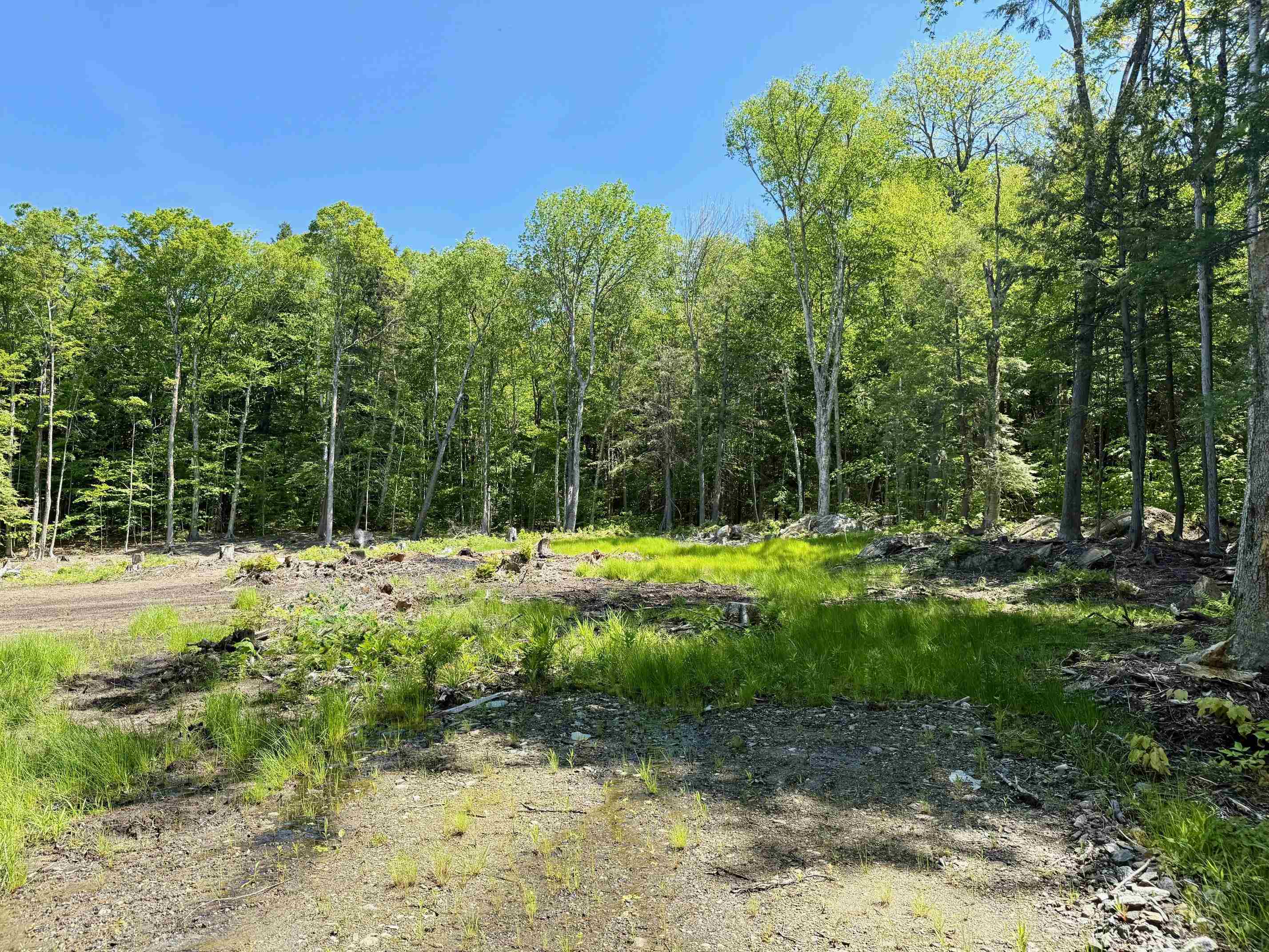 Homes for sale in Wardsboro, VT | 585 Sawmill Rd, Wardsboro, VT 05360 | MLS# 5002531