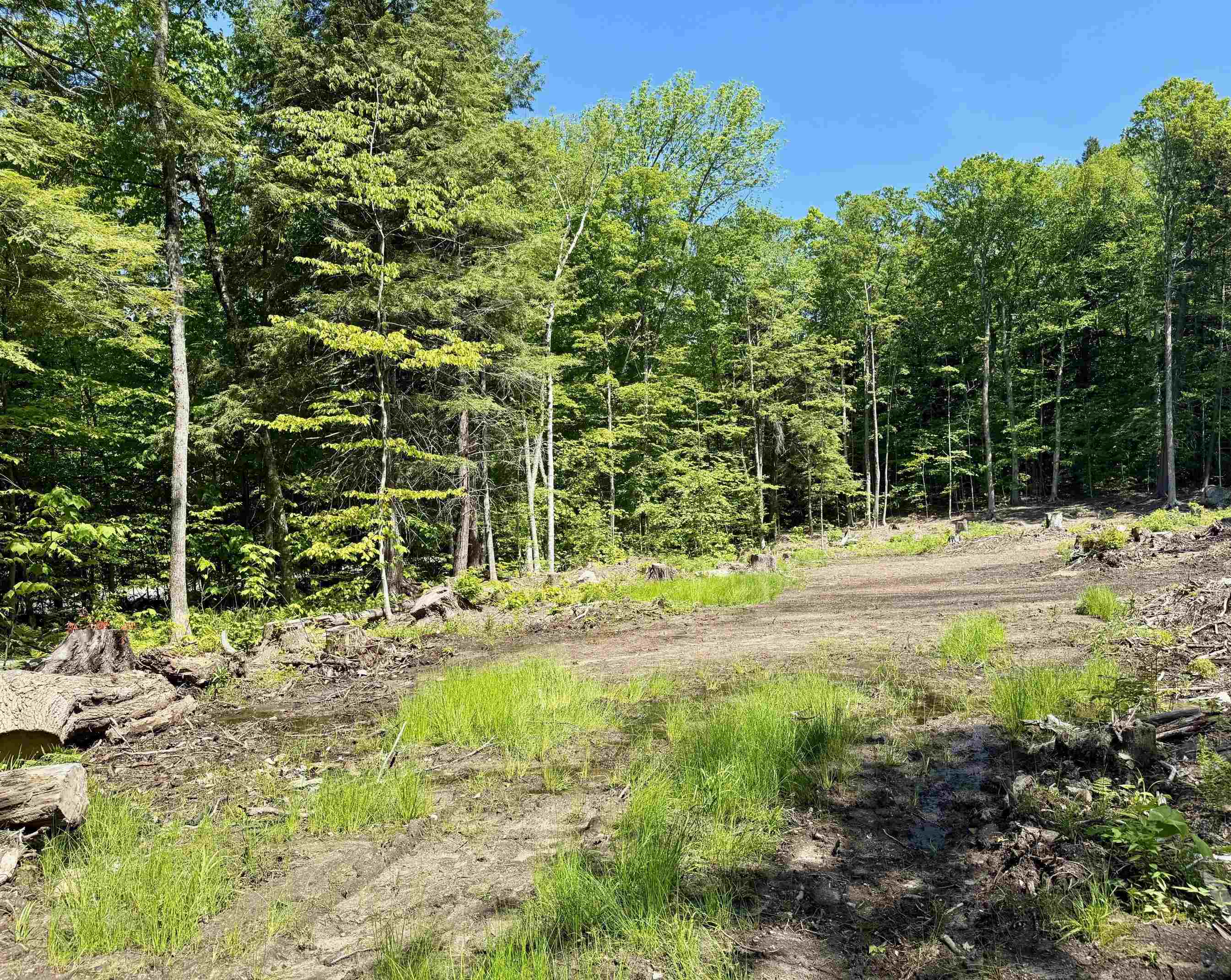 Homes for sale in Wardsboro, VT | 585 Sawmill Rd, Wardsboro, VT 05360 | MLS# 5002531