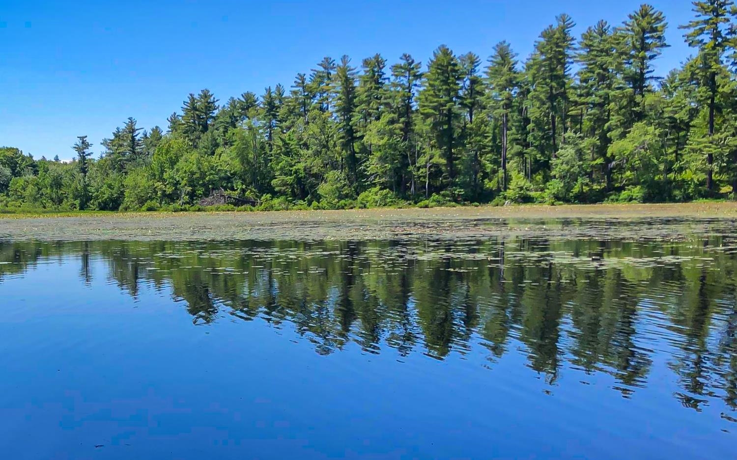 Homes for sale in Kingston, NH | 28 Morning Dove Rd, Kingston, NH 03848 | MLS# 5002777