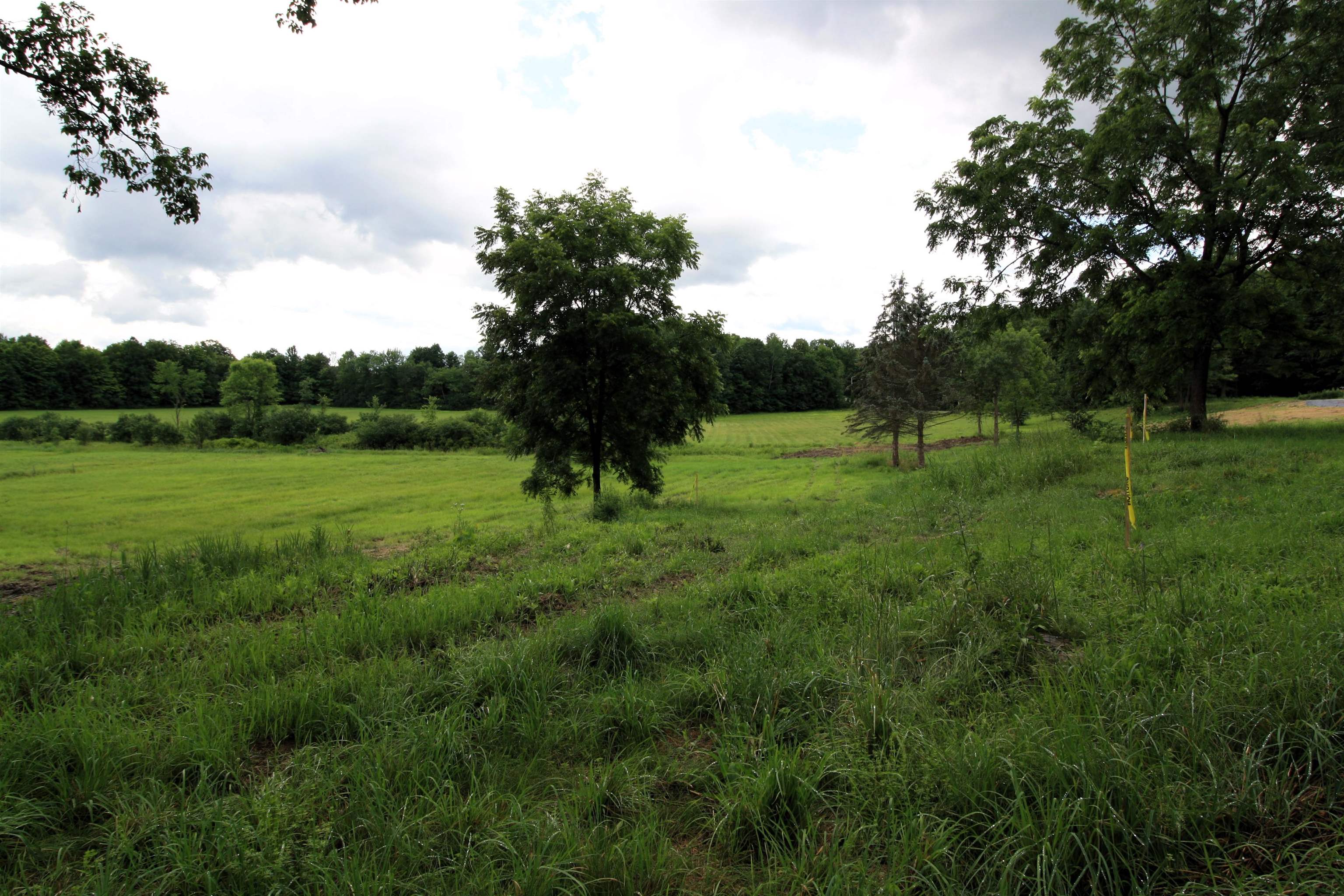 Homes for sale in Whiting, VT | Tbd Barnes Rd, Whiting, VT 05778 | MLS# 5002820