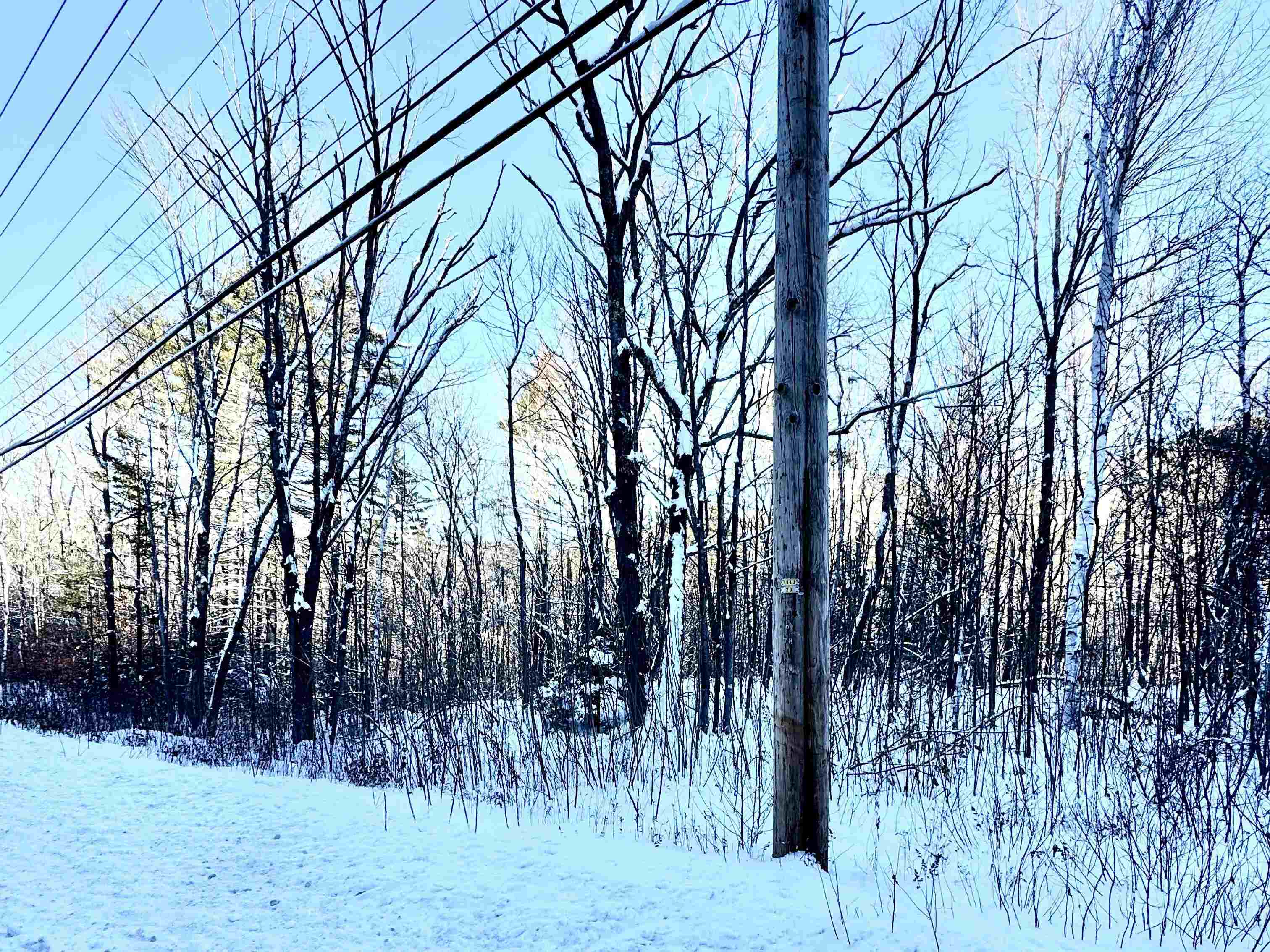 Homes for sale in Bartlett, NH | Us Route 302, Bartlett, NH 03812 | MLS# 5003976