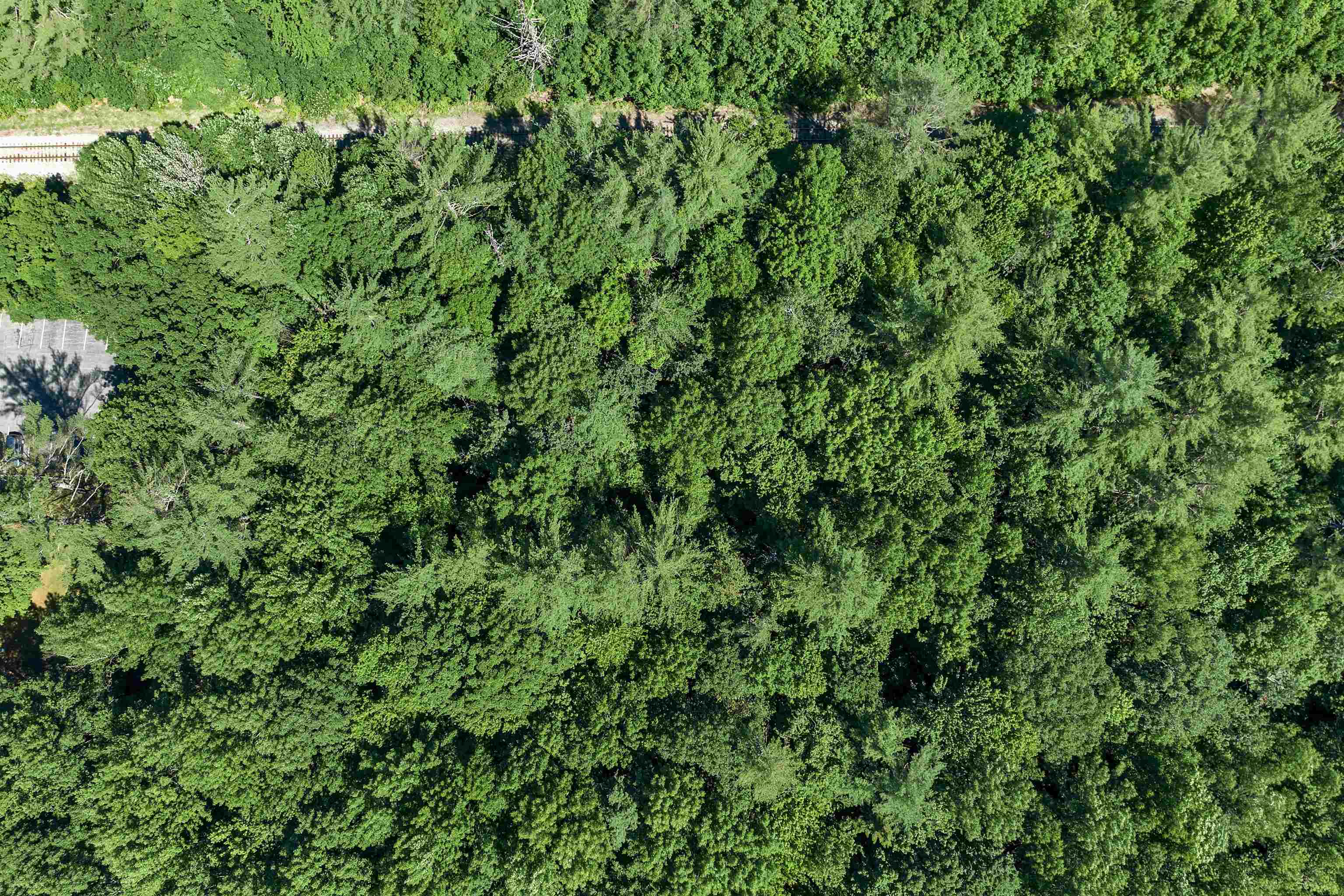 Homes for sale in Bartlett, NH | Us Route 302, Bartlett, NH 03812 | MLS# 5003976