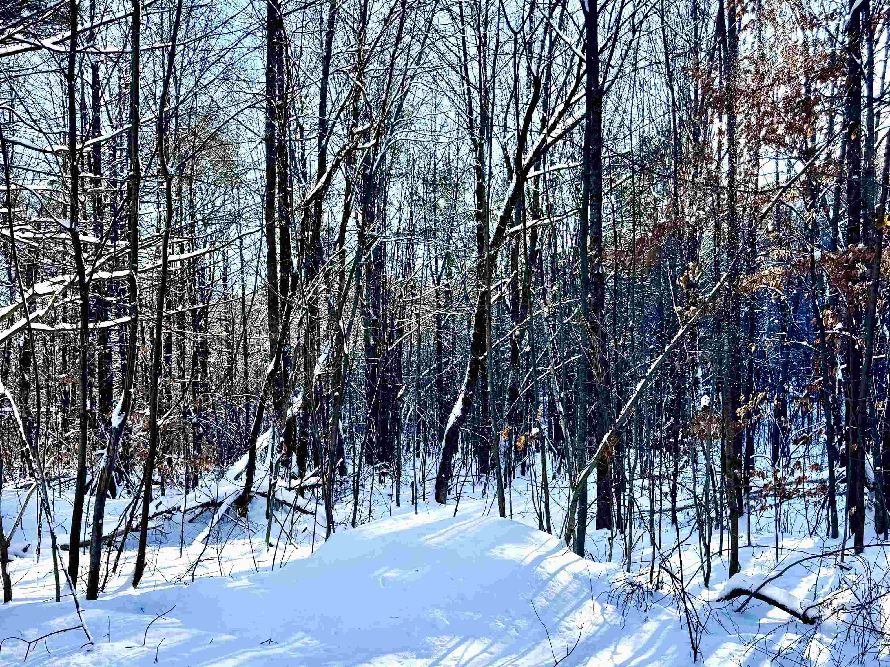 Homes for sale in Bartlett, NH | Us Route 302, Bartlett, NH 03812 | MLS# 5003976