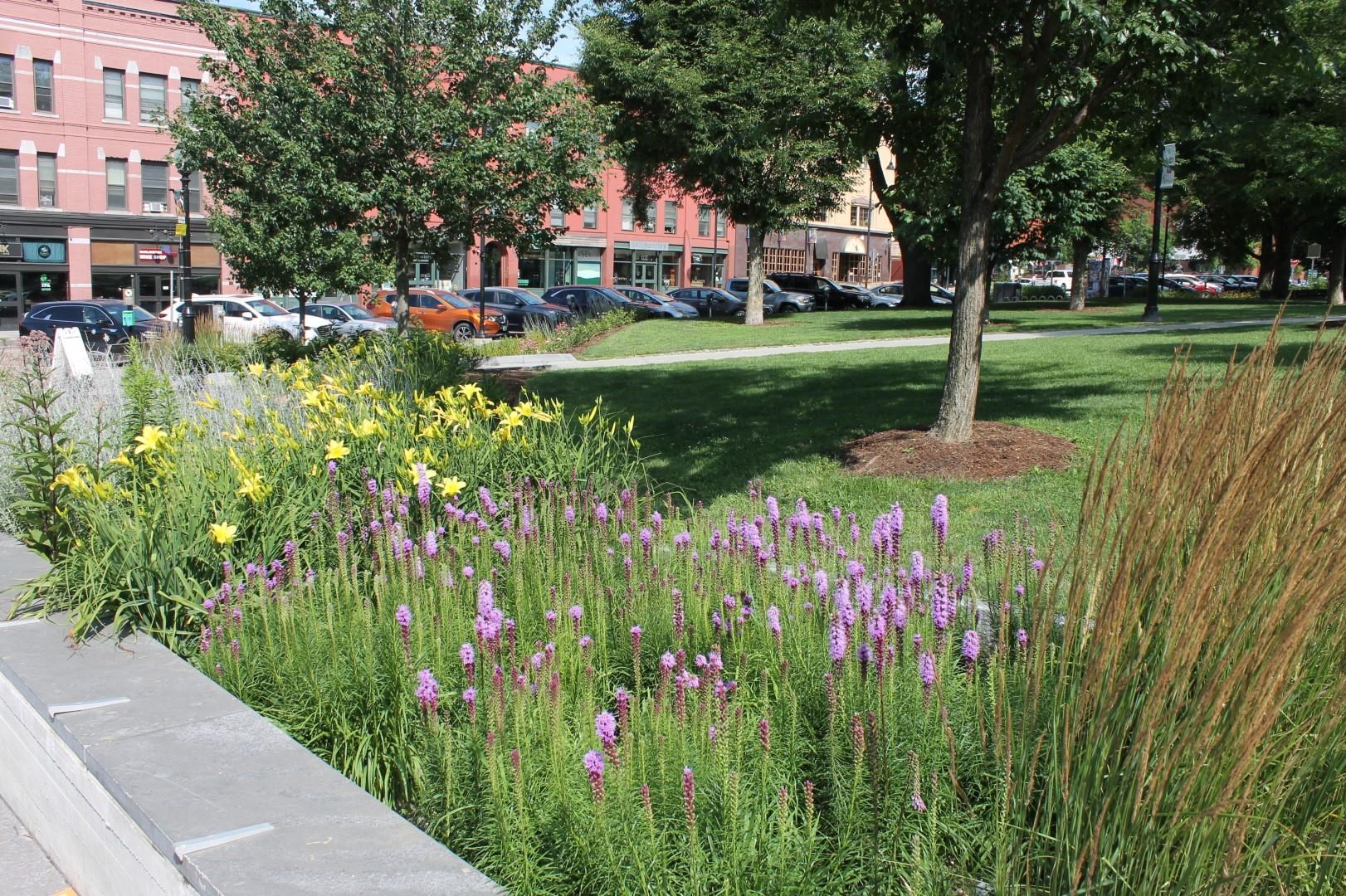 Homes for sale in Burlington, VT | 131 Main St #509, Burlington, VT 05401 | MLS# 5004108