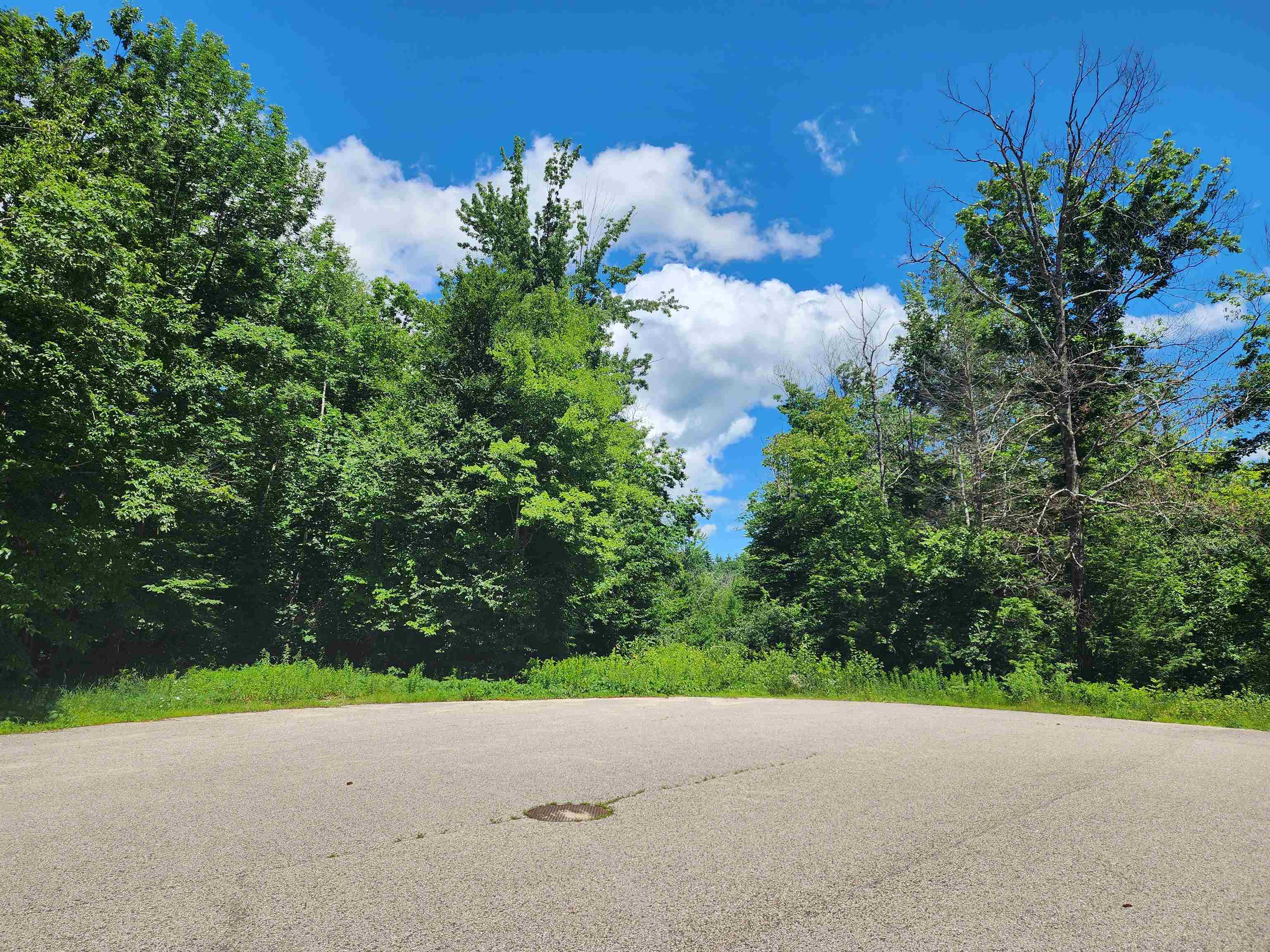 MLS #5004928 image #12