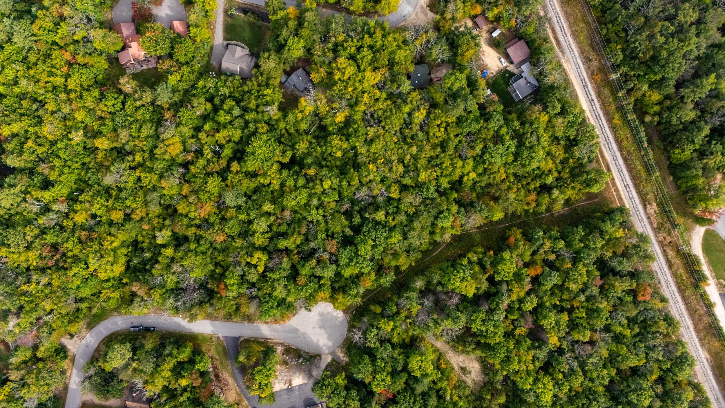 MLS #5004928 image #17