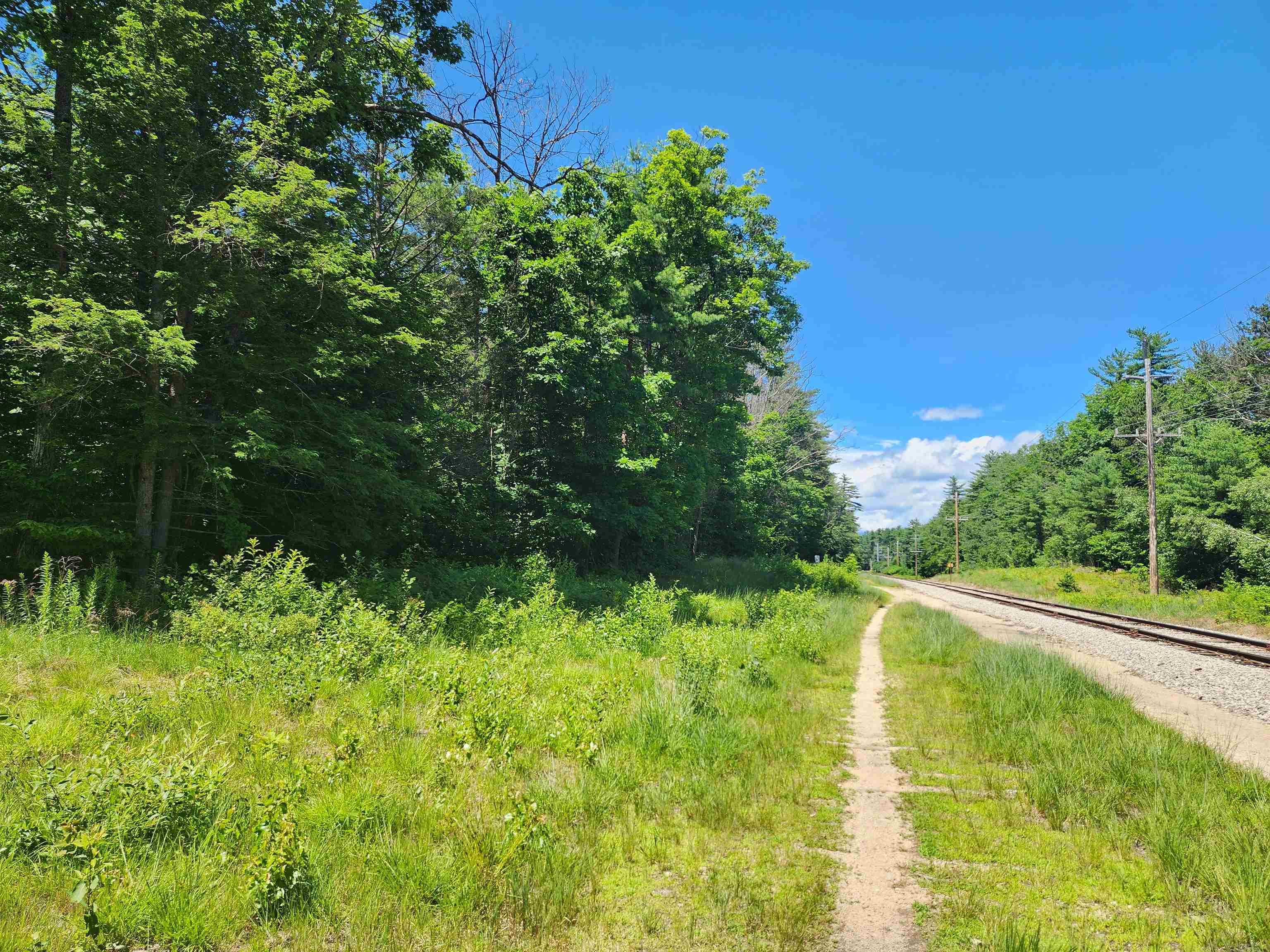 MLS #5004928 image #4