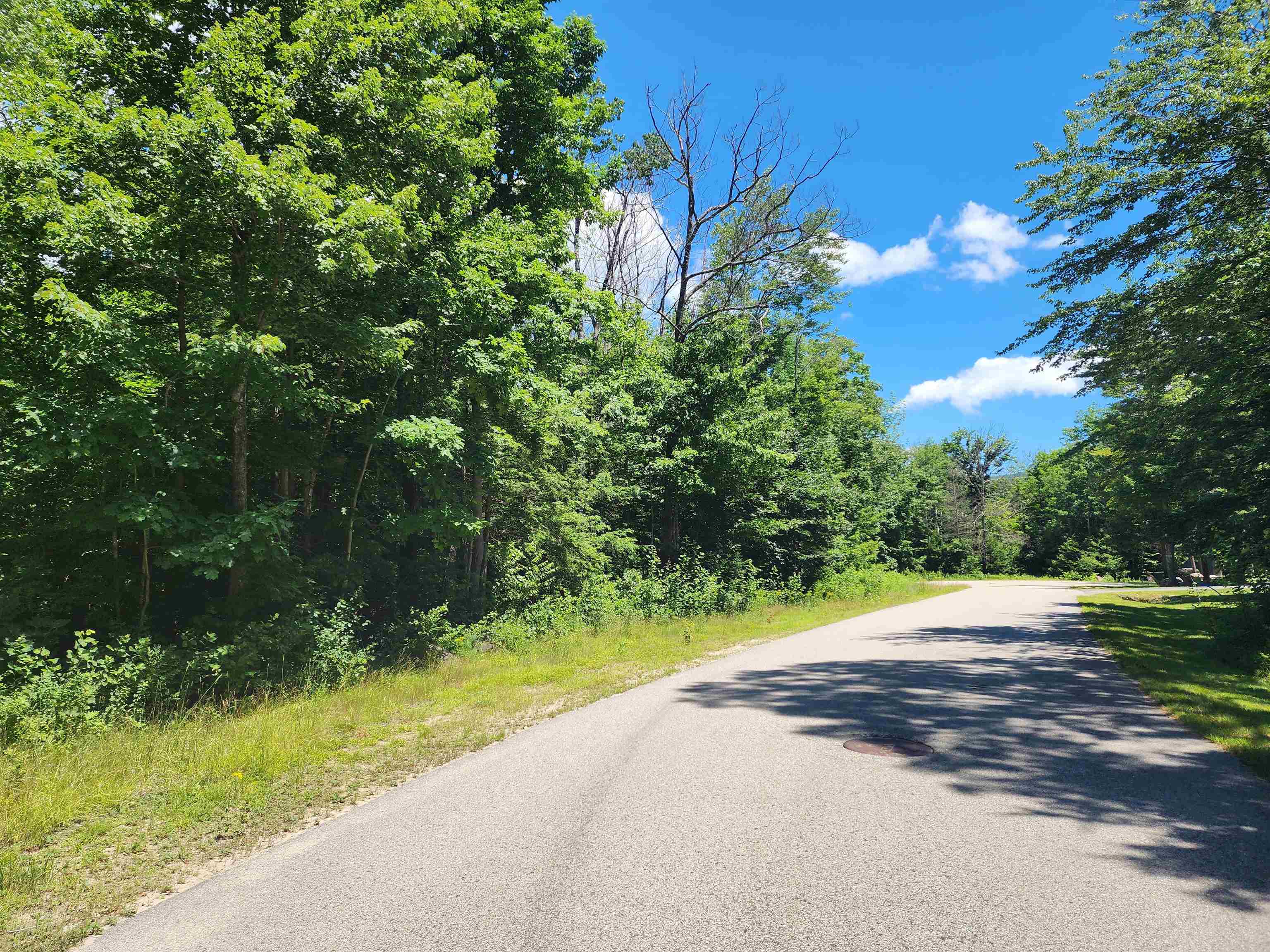 MLS #5004928 image #8