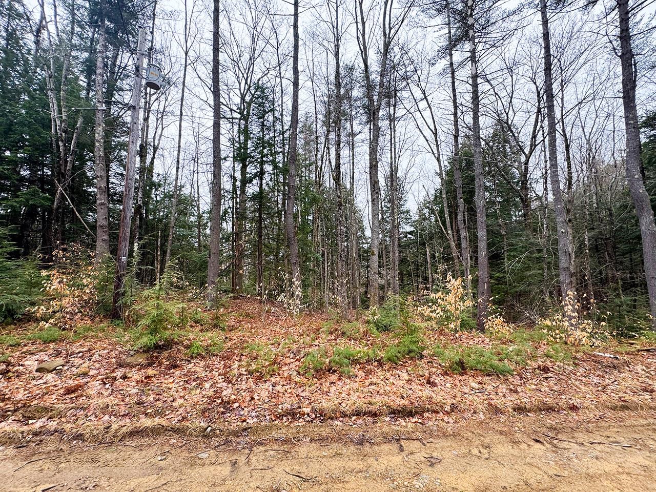 Gilmanton NH Land for sale $$29,000 | 0.34 Acres  | Price Per Acre $0 