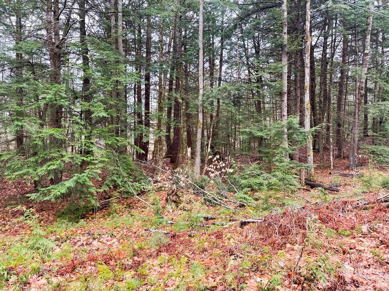 Homes for sale in Gilmanton, NH | 0000 Cedar Dr, Gilmanton, NH 03237 | MLS# 5005021