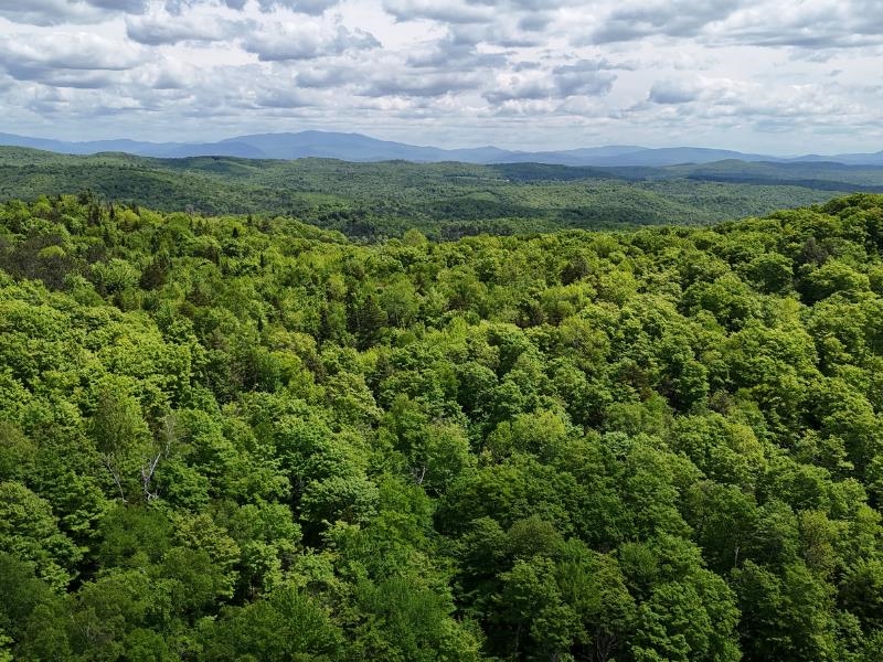 Homes for sale in Topsham, VT | 0 Powder Spring Rd, Topsham, VT 05076 | MLS# 5006112