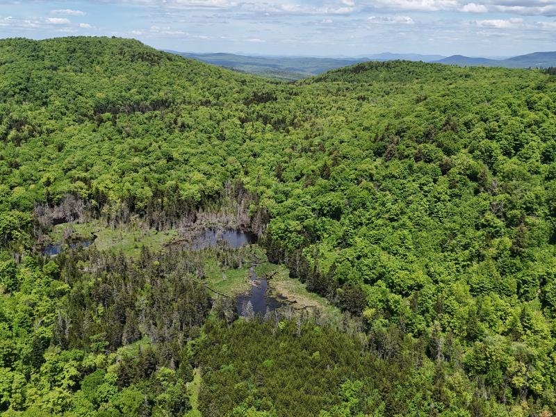 Homes for sale in Topsham, VT | 0 Powder Spring Rd, Topsham, VT 05076 | MLS# 5006112