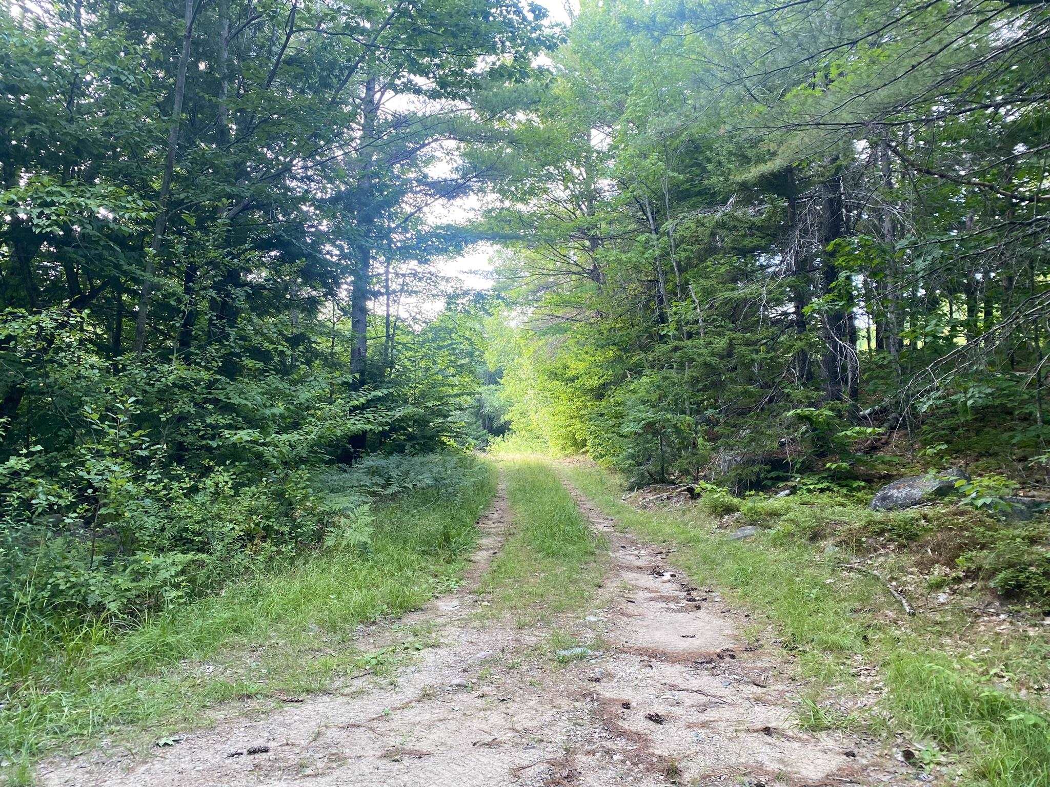 Homes for sale in Eaton, NH | Willis Bean Rd, Eaton, NH 03832 | MLS# 5006353