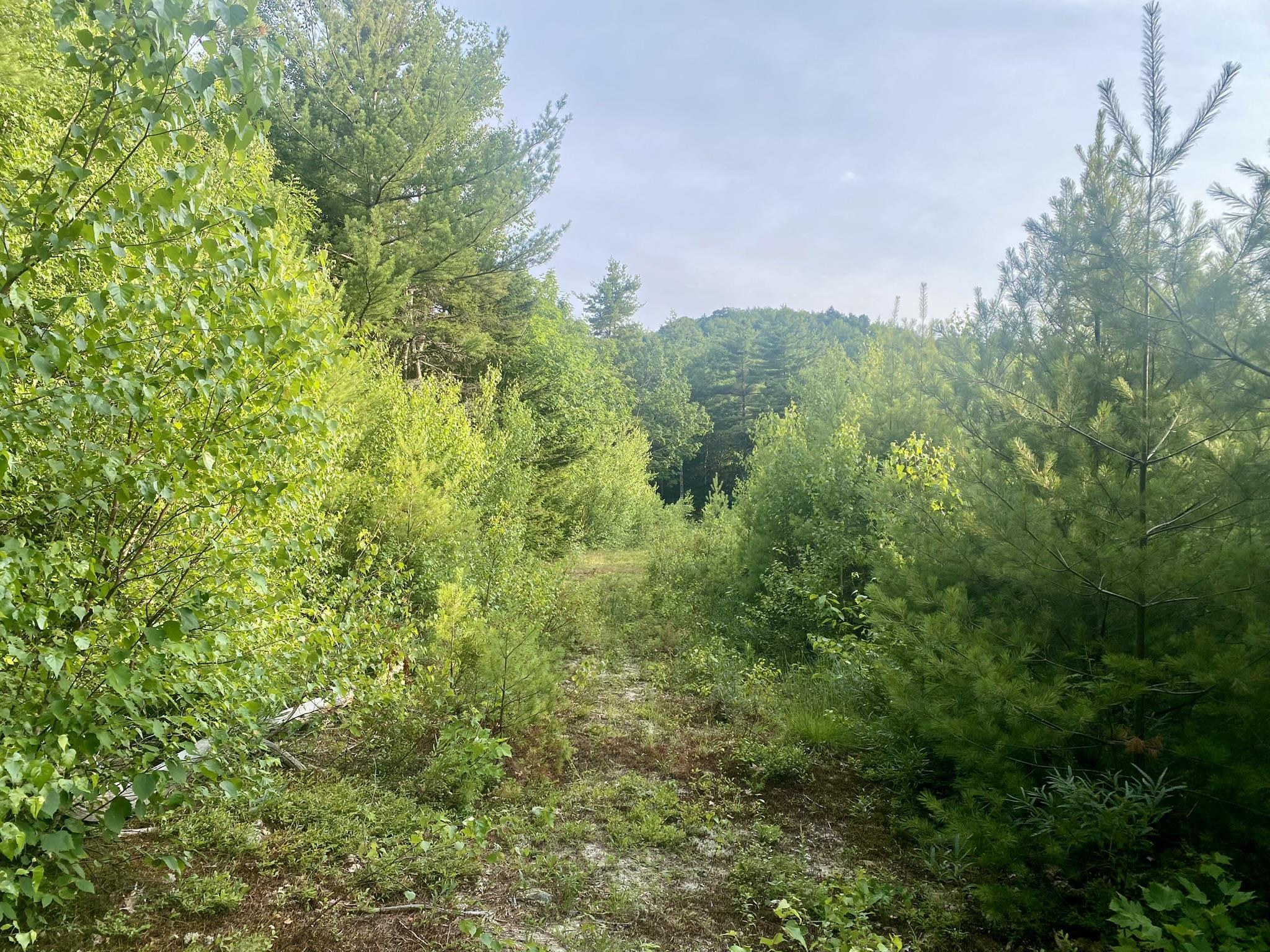 0 Willis Bean Rd, Eaton, NH 03832