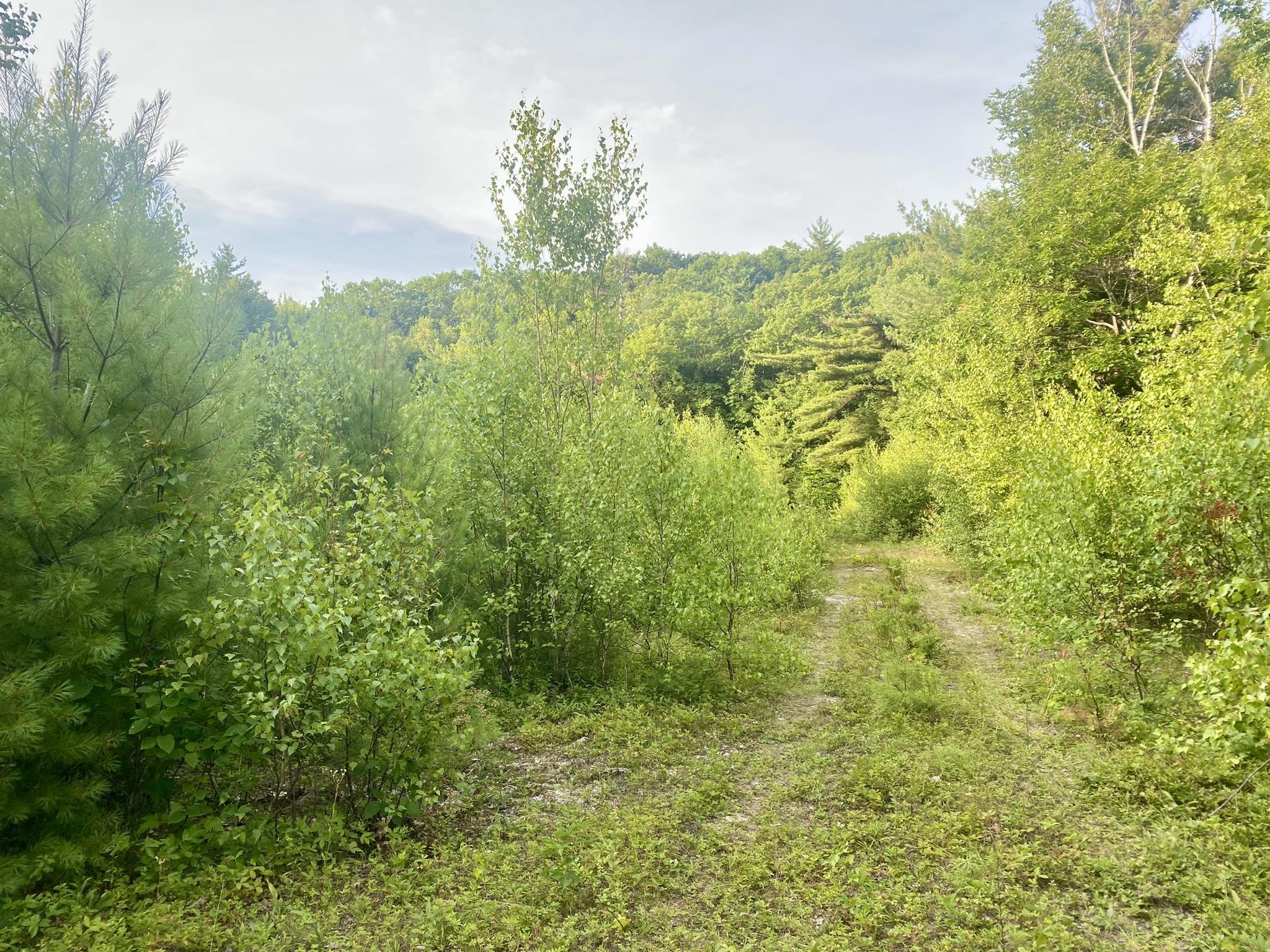 0 Willis Bean Rd, Eaton, NH 03832