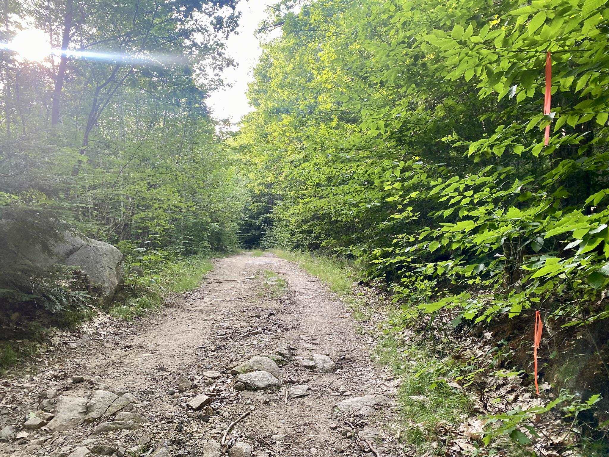 0 Willis Bean Rd, Eaton, NH 03832