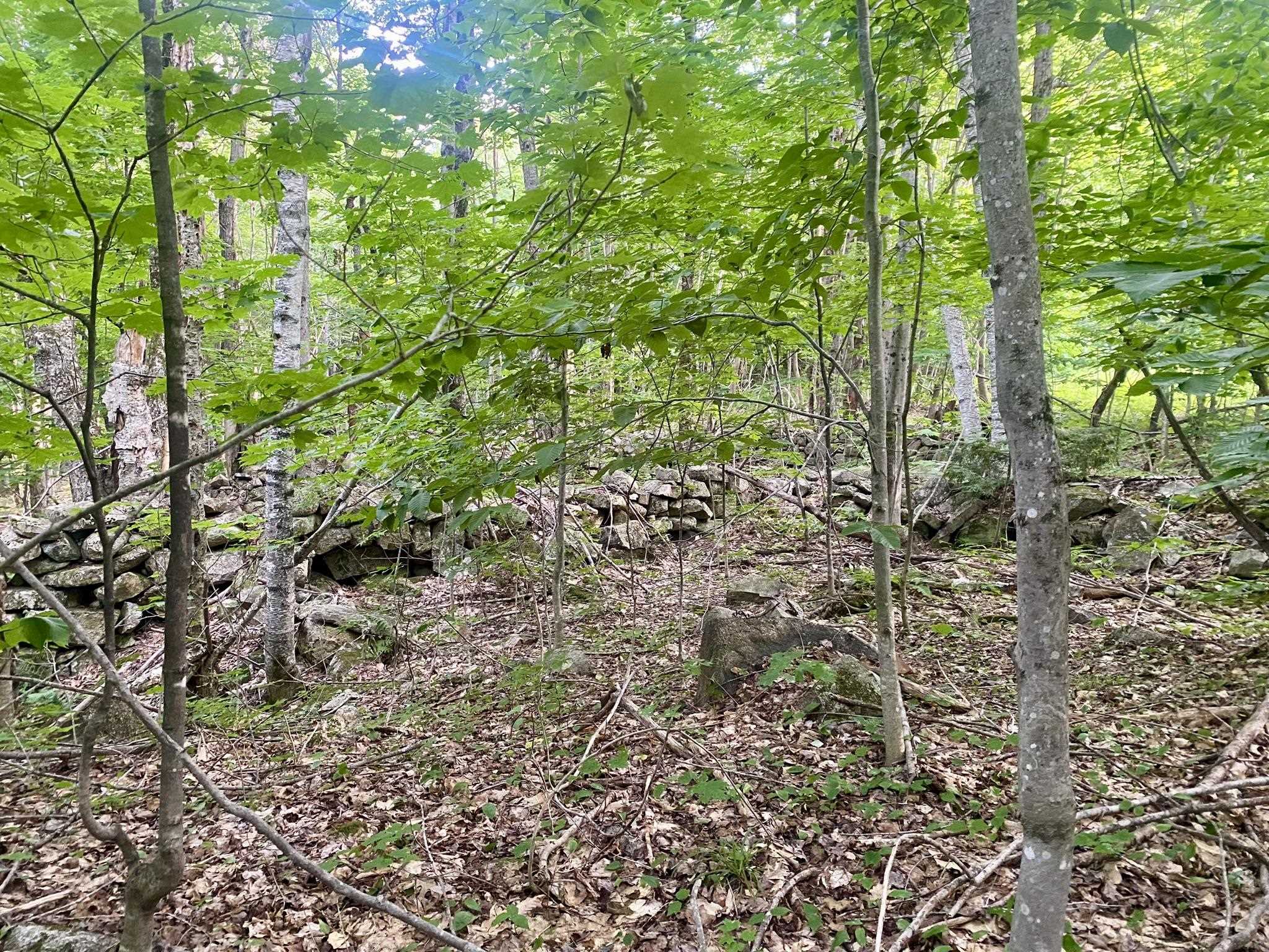 0 Willis Bean Rd, Eaton, NH 03832