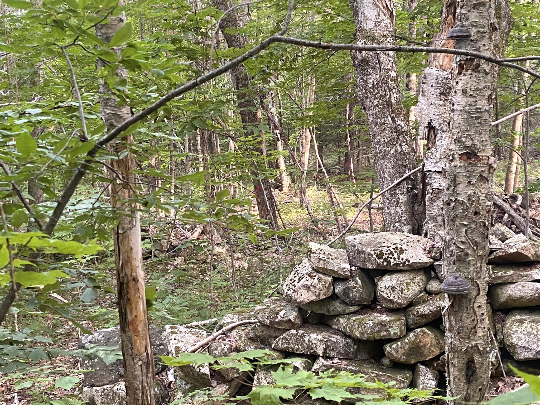 0 Willis Bean Rd, Eaton, NH 03832