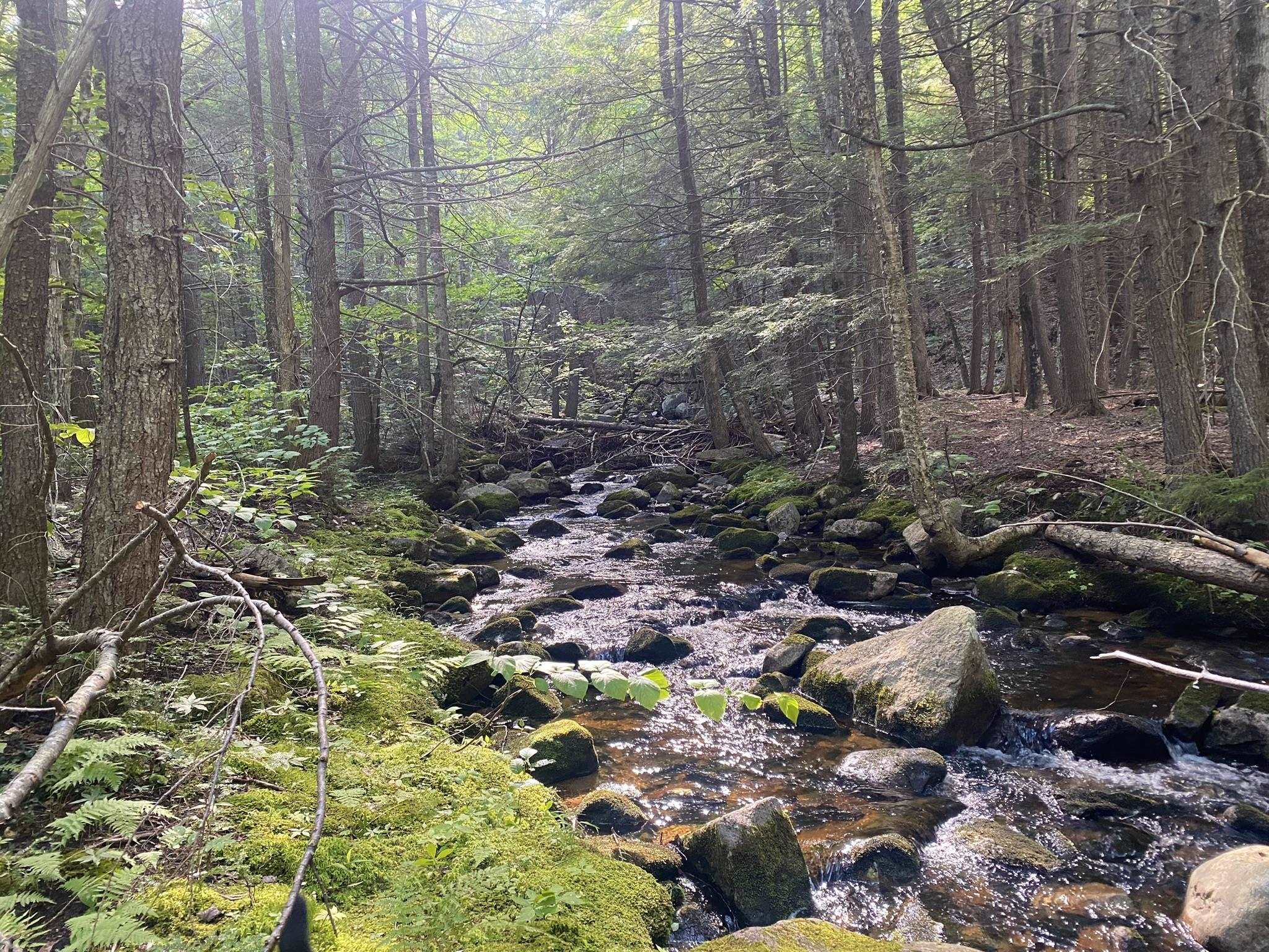 Homes for sale in Eaton, NH | Willis Bean Rd, Eaton, NH 03832 | MLS# 5006353