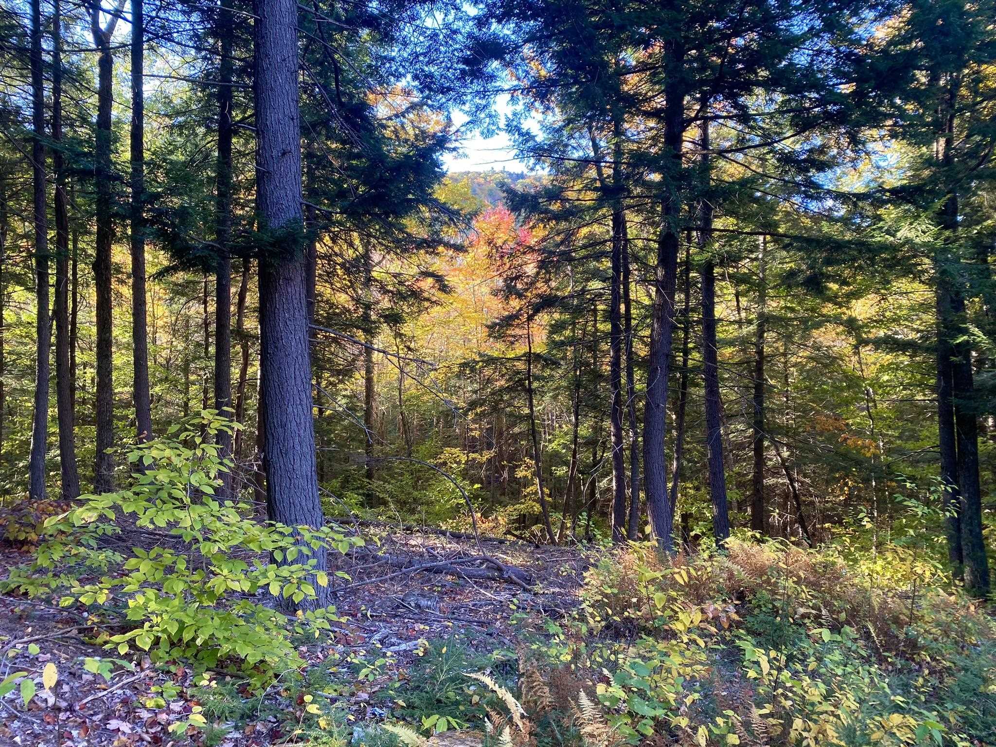 Homes for sale in Eaton, NH | Willis Bean Rd, Eaton, NH 03832 | MLS# 5006353