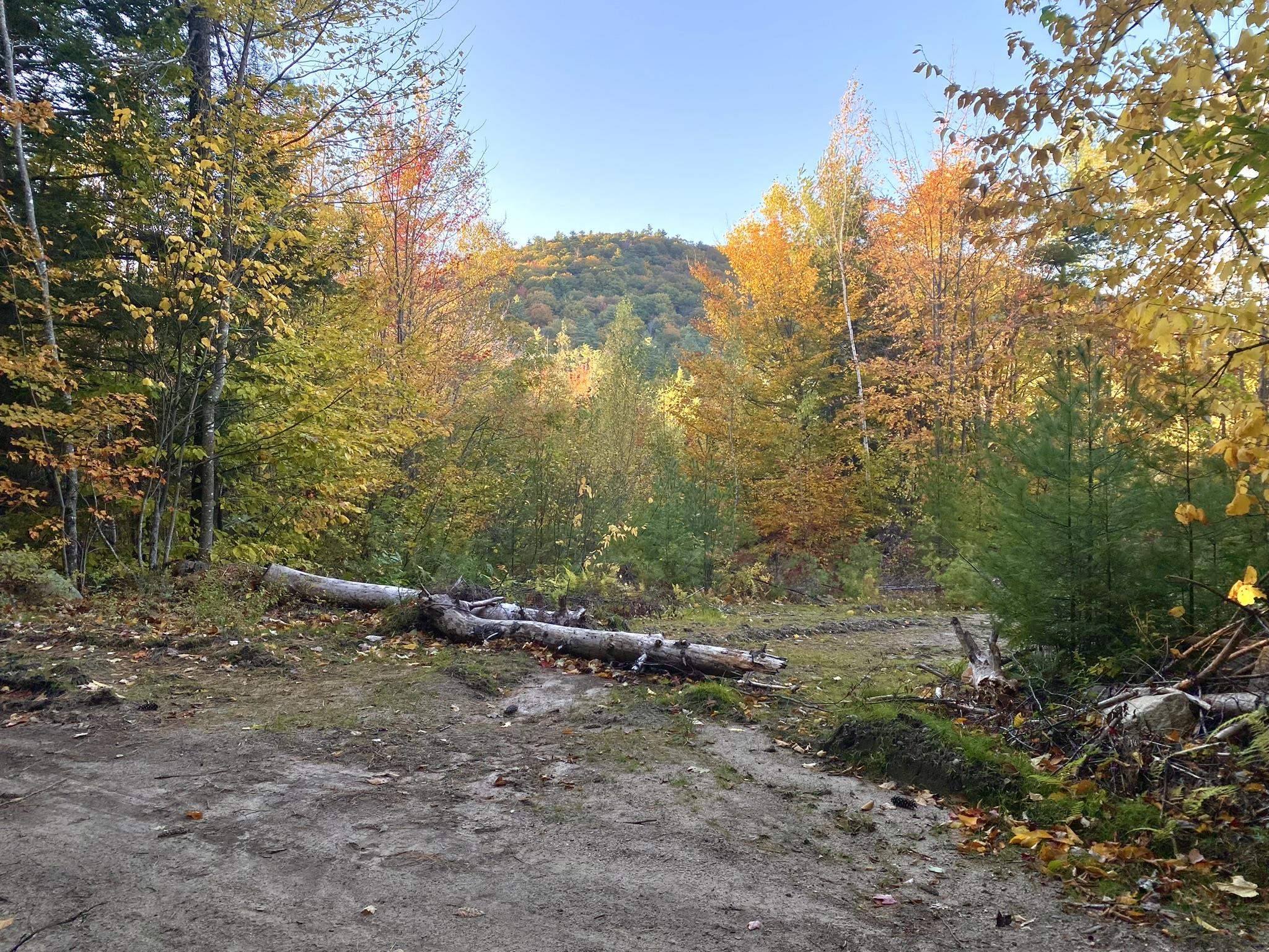 Homes for sale in Eaton, NH | Willis Bean Rd, Eaton, NH 03832 | MLS# 5006353