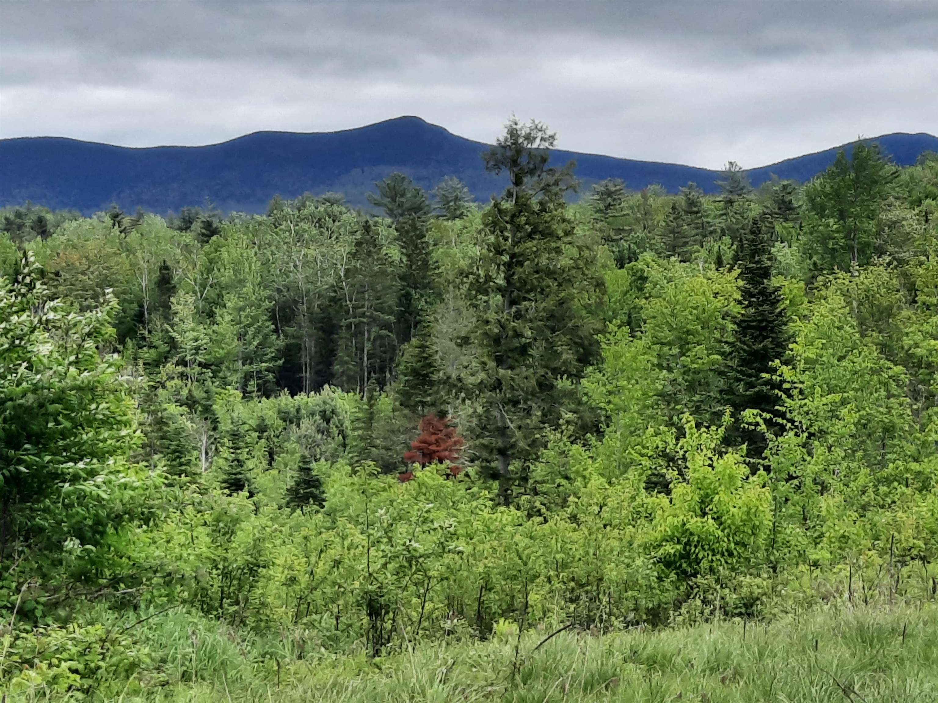 Homes for sale in Lancaster, NH | Lots 7 & 8 Kelsea Dr, Lancaster, NH 03584 | MLS# 5006612