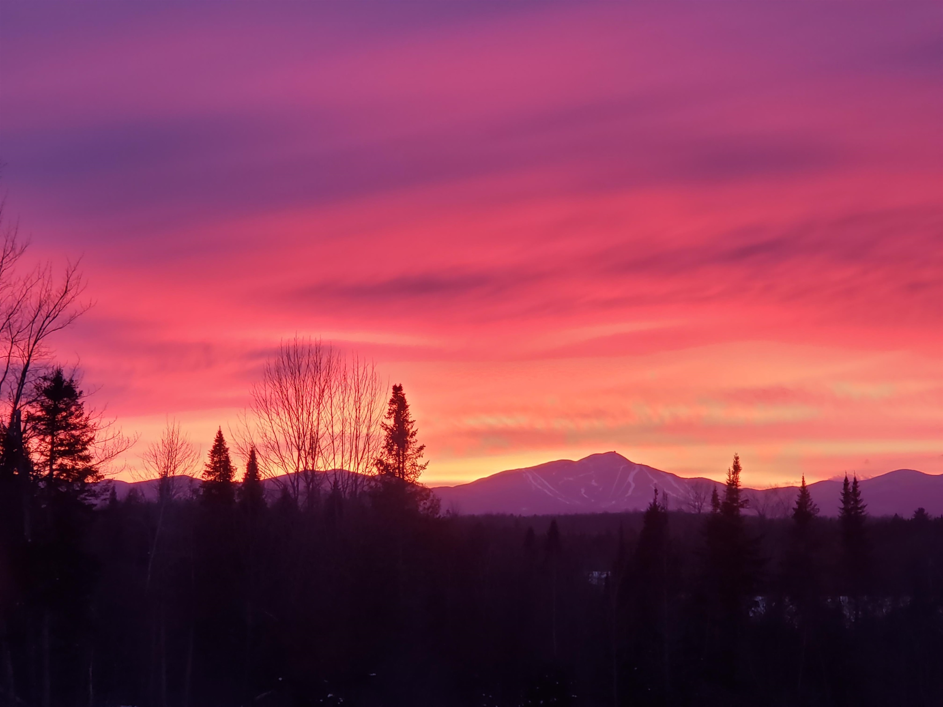 Homes for sale in Newport Town, VT | 972 Farrar Rd, Newport Town, VT 05857 | MLS# 5006849