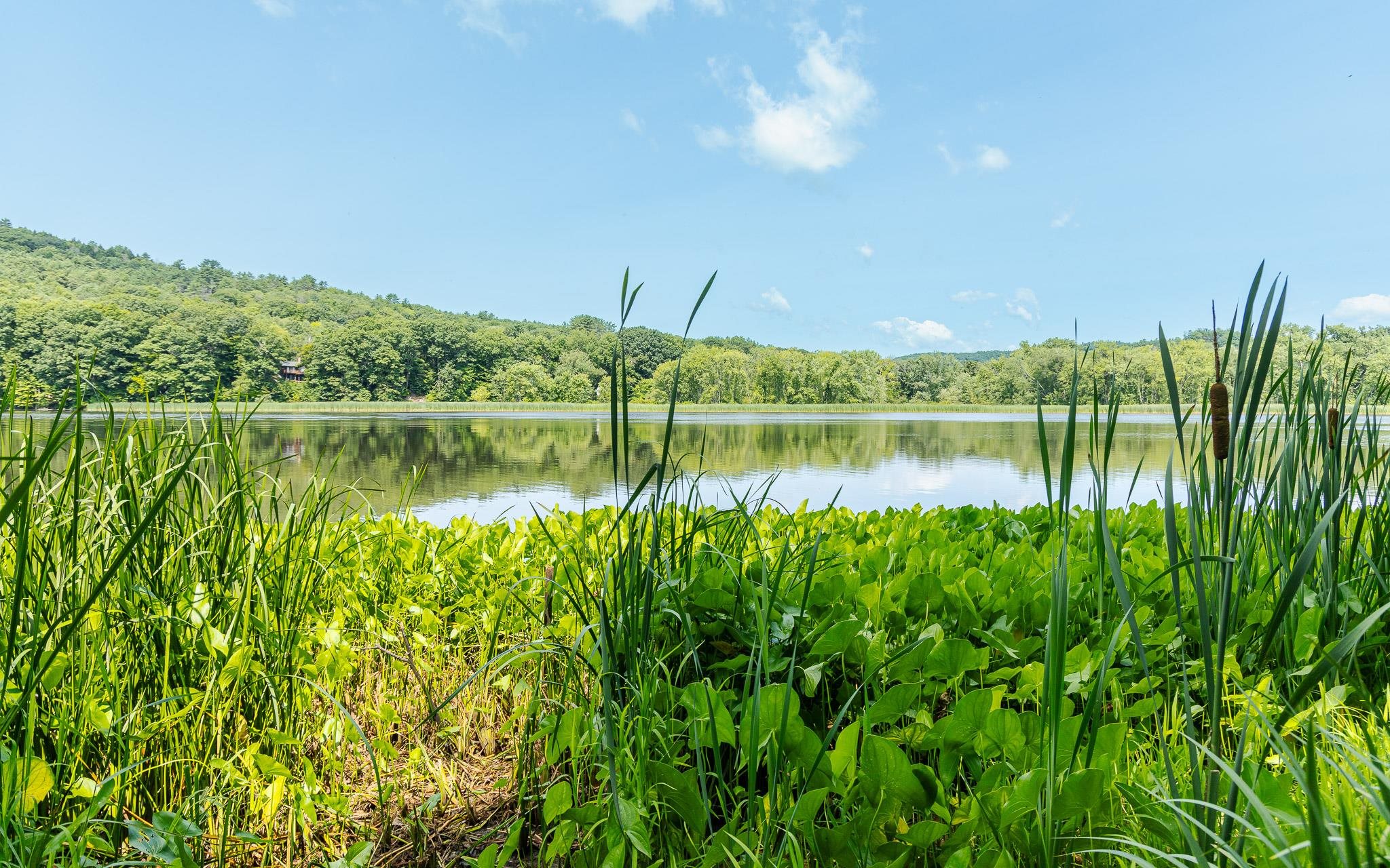 Homes for sale in Charlestown, NH | Norman Ave, Charlestown, NH 03603 | MLS# 5007062