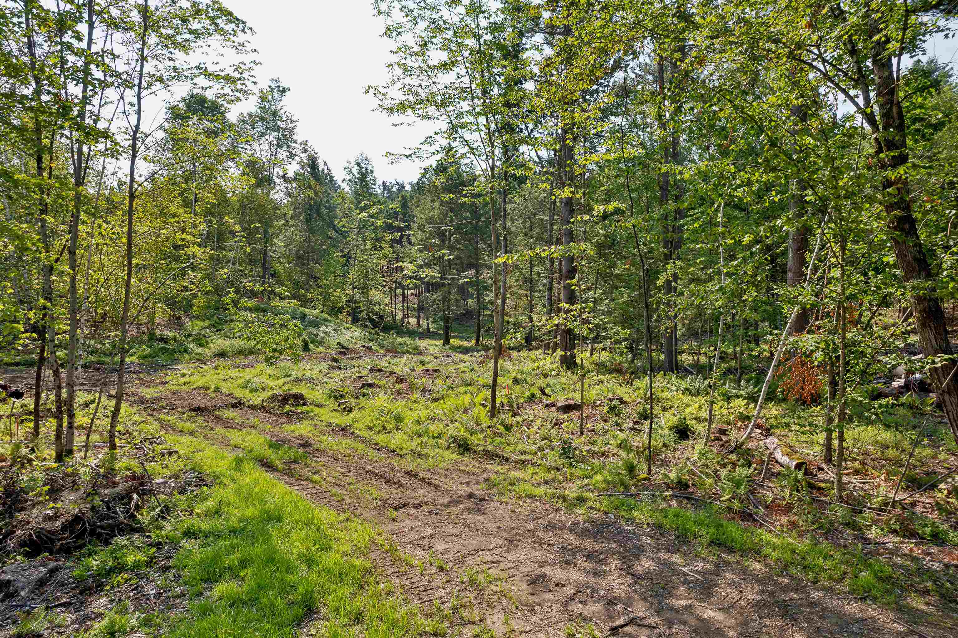 Homes for sale in Haverhill, NH | 00 Court St, Haverhill, NH 03765 | MLS# 5007491