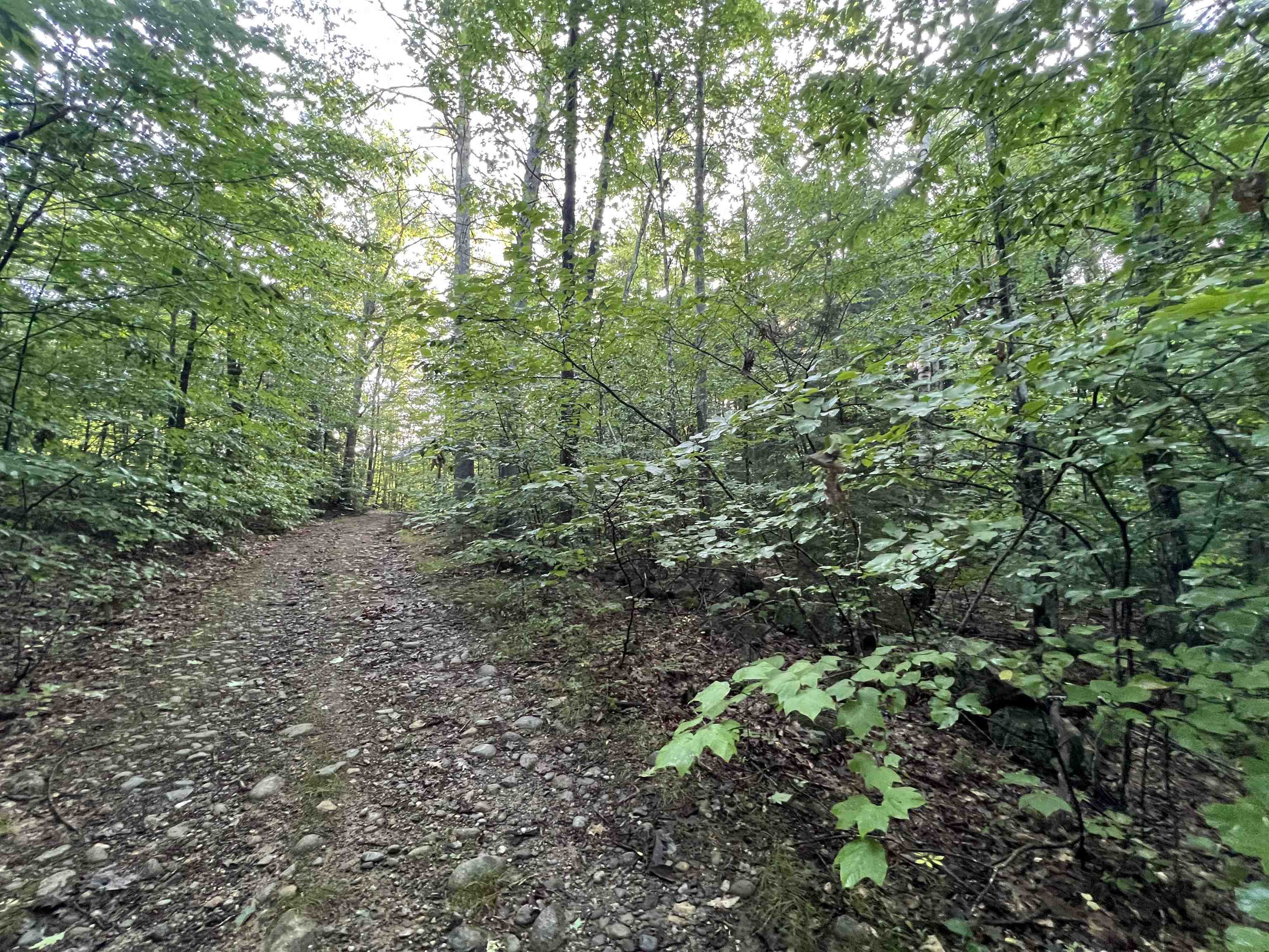 Webster NH Land for sale $$115,000 | 4.92 Acres  | Price Per Acre $0  | Total Lots 3