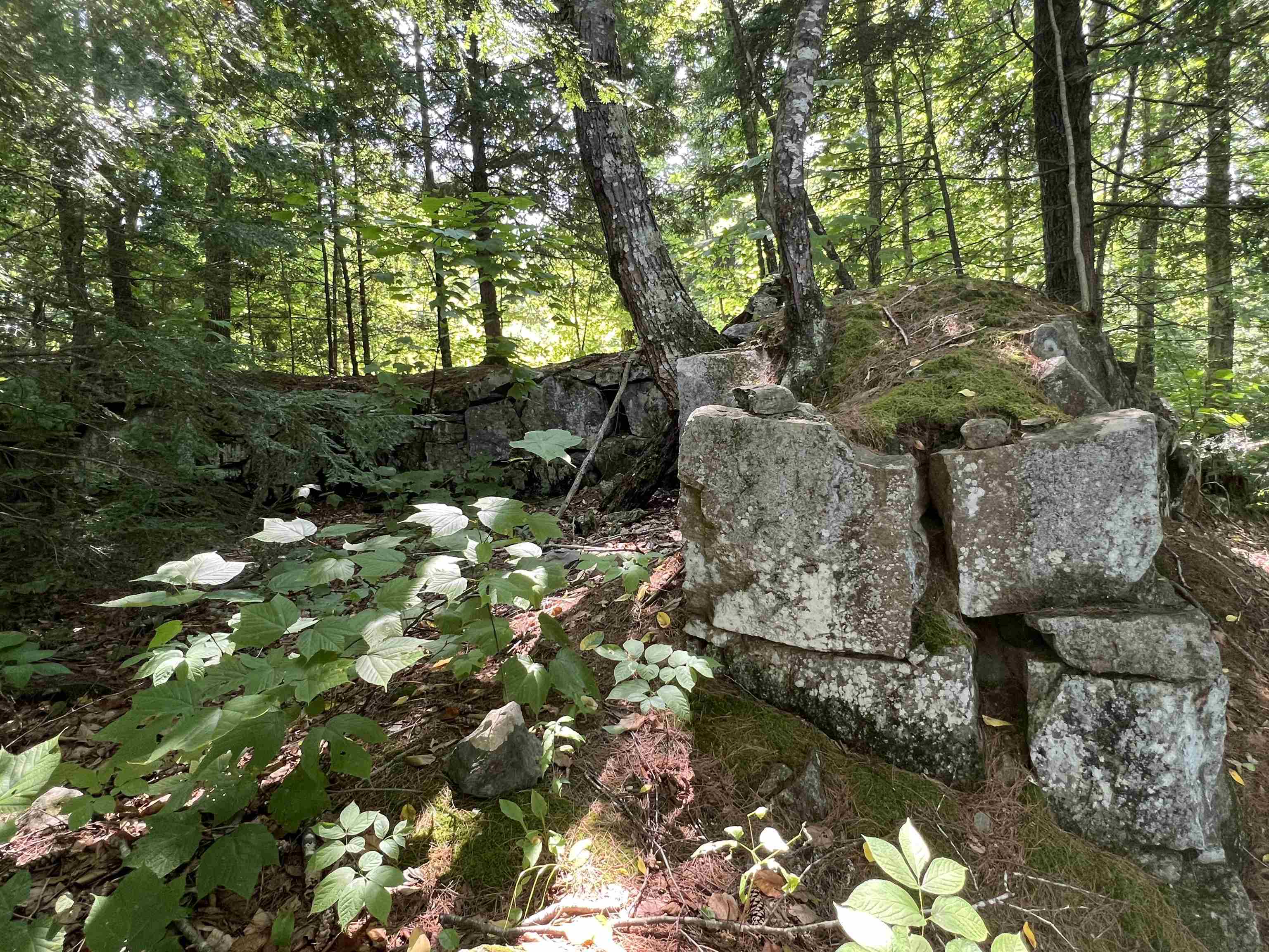 Homes for sale in Webster, NH | Map 6, Lot 38 Chadwick Hill Rd, Webster, NH 03303 | MLS# 5007756