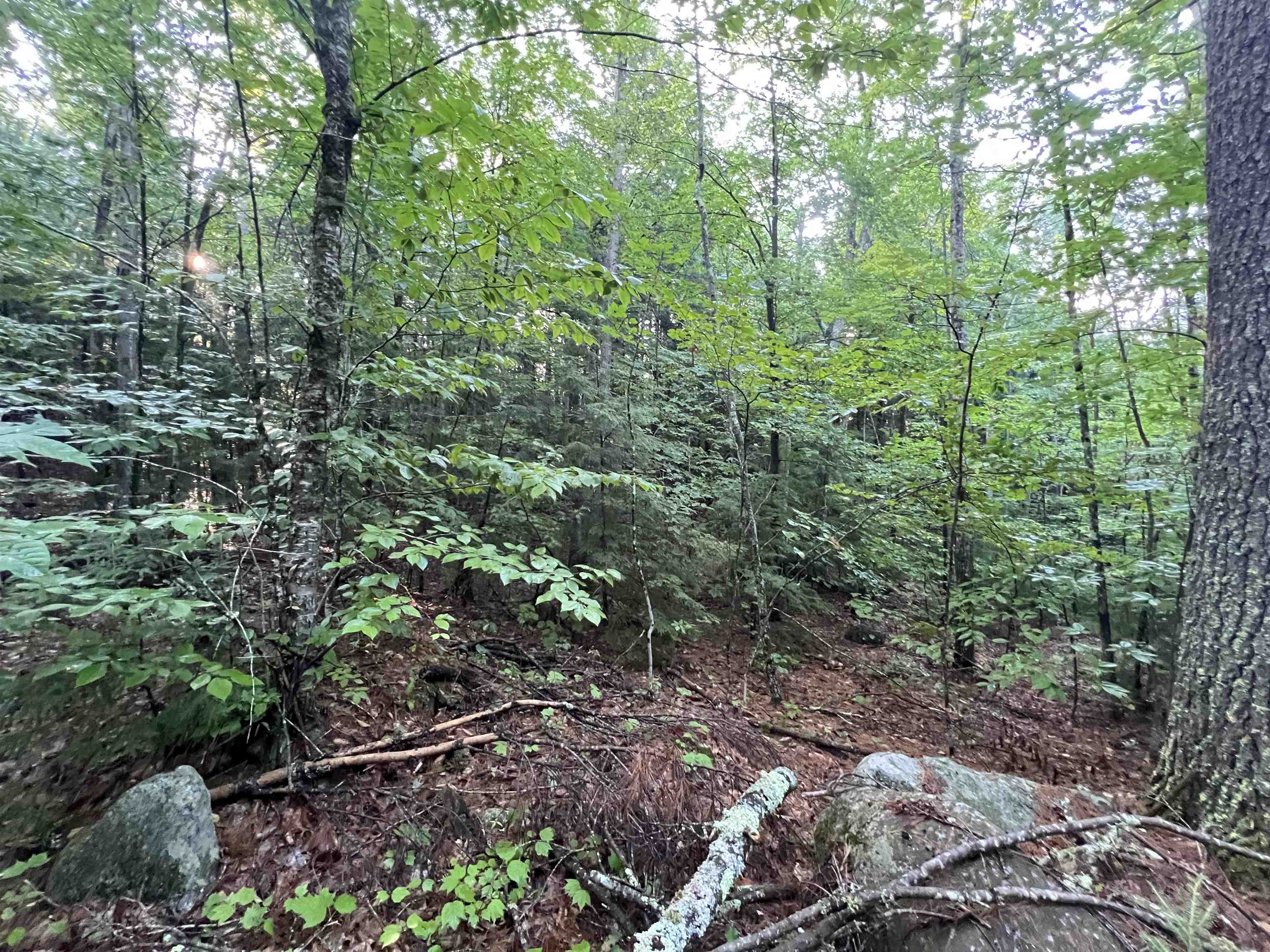 Homes for sale in Webster, NH | Map 6, Lot 38 Chadwick Hill Rd, Webster, NH 03303 | MLS# 5007756