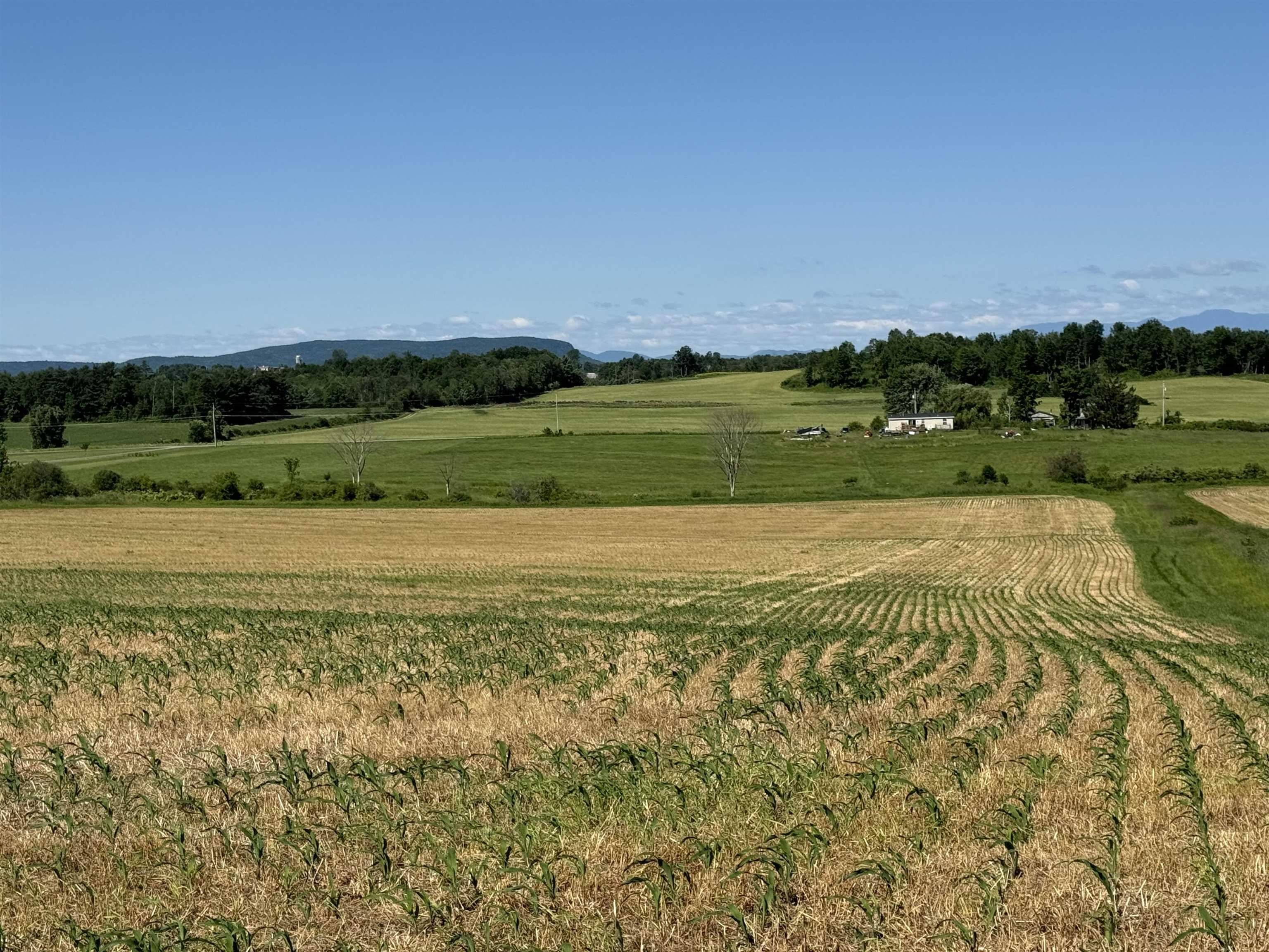 Homes for sale in New Haven, VT | Tbd South St, New Haven, VT 05441 | MLS# 5008036