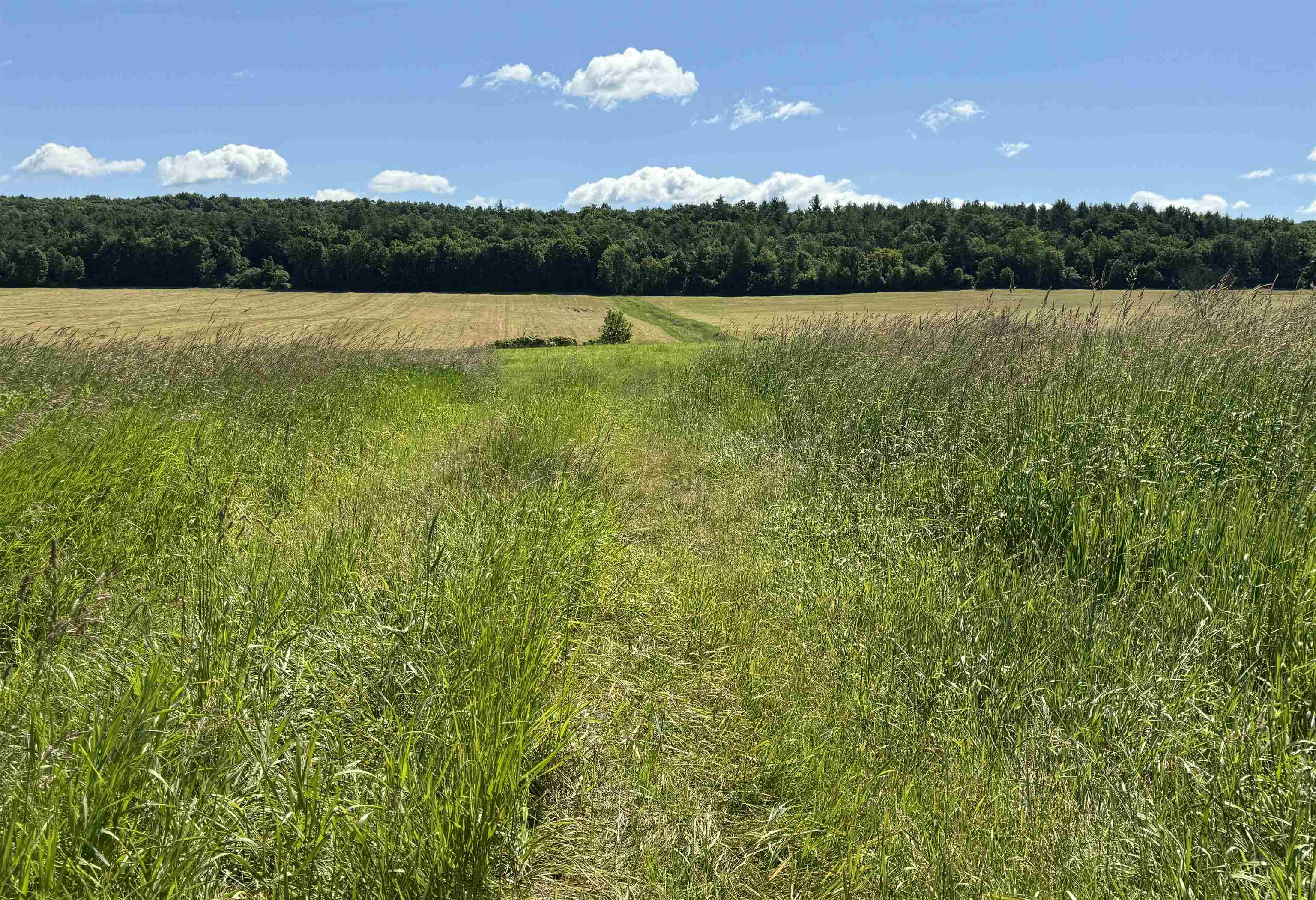 Homes for sale in New Haven, VT | Tbd South St, New Haven, VT 05441 | MLS# 5008036