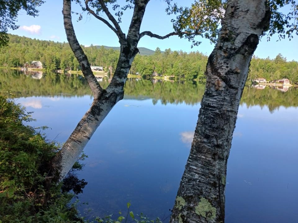 Homes for sale in Milan, NH | 205 Overlook Rd, Milan, NH 03588 | MLS# 5008447