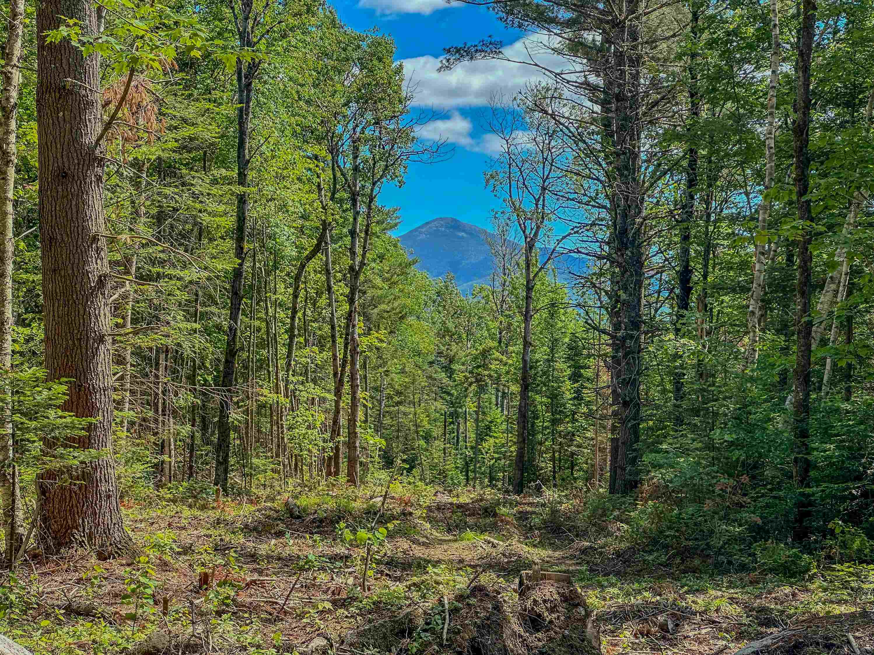 Homes for sale in Bethlehem, NH | 00 Ridge Rd, Bethlehem, NH 03574 | MLS# 5008701