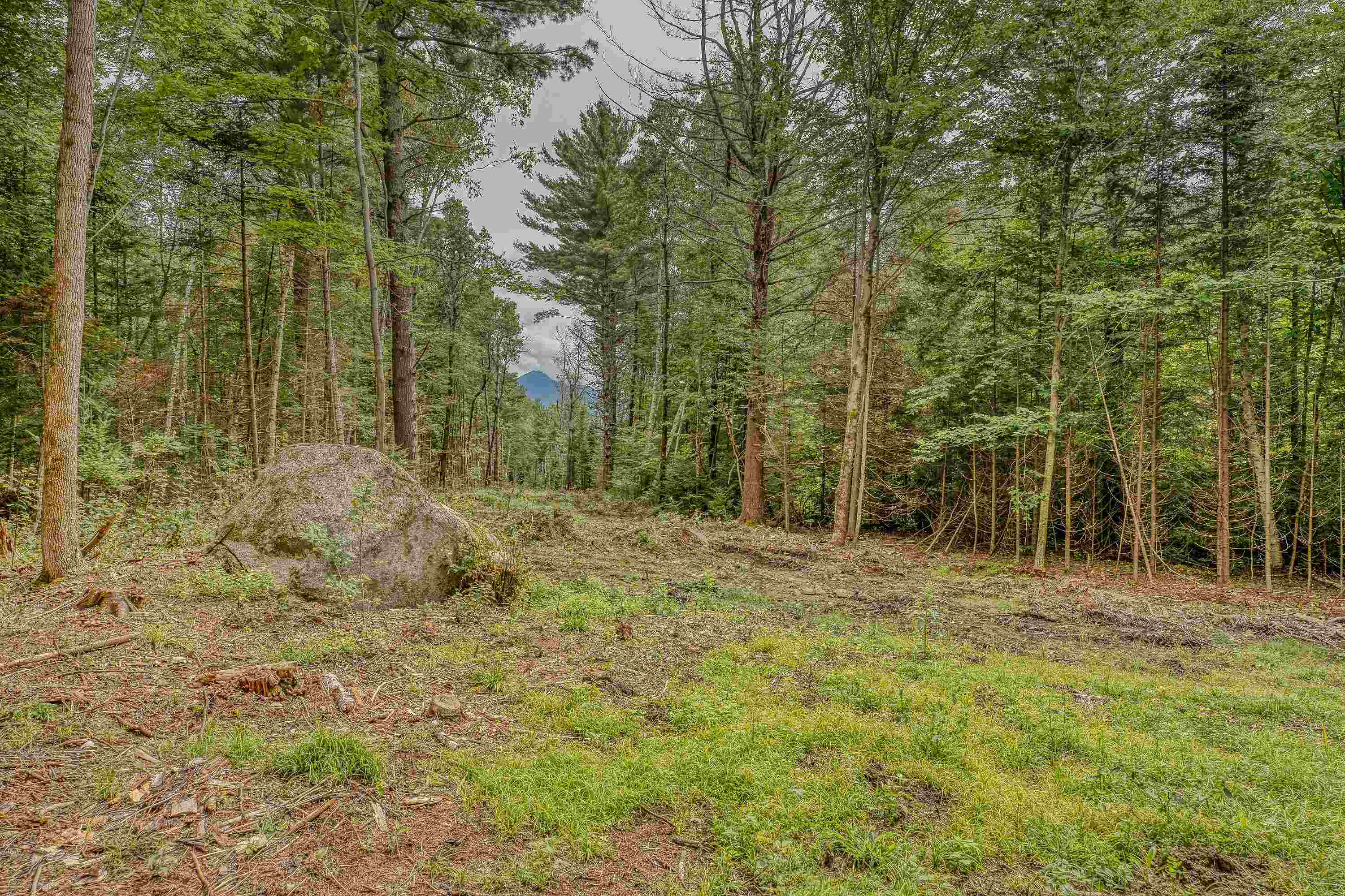 Homes for sale in Bethlehem, NH | 00 Ridge Rd, Bethlehem, NH 03574 | MLS# 5008701