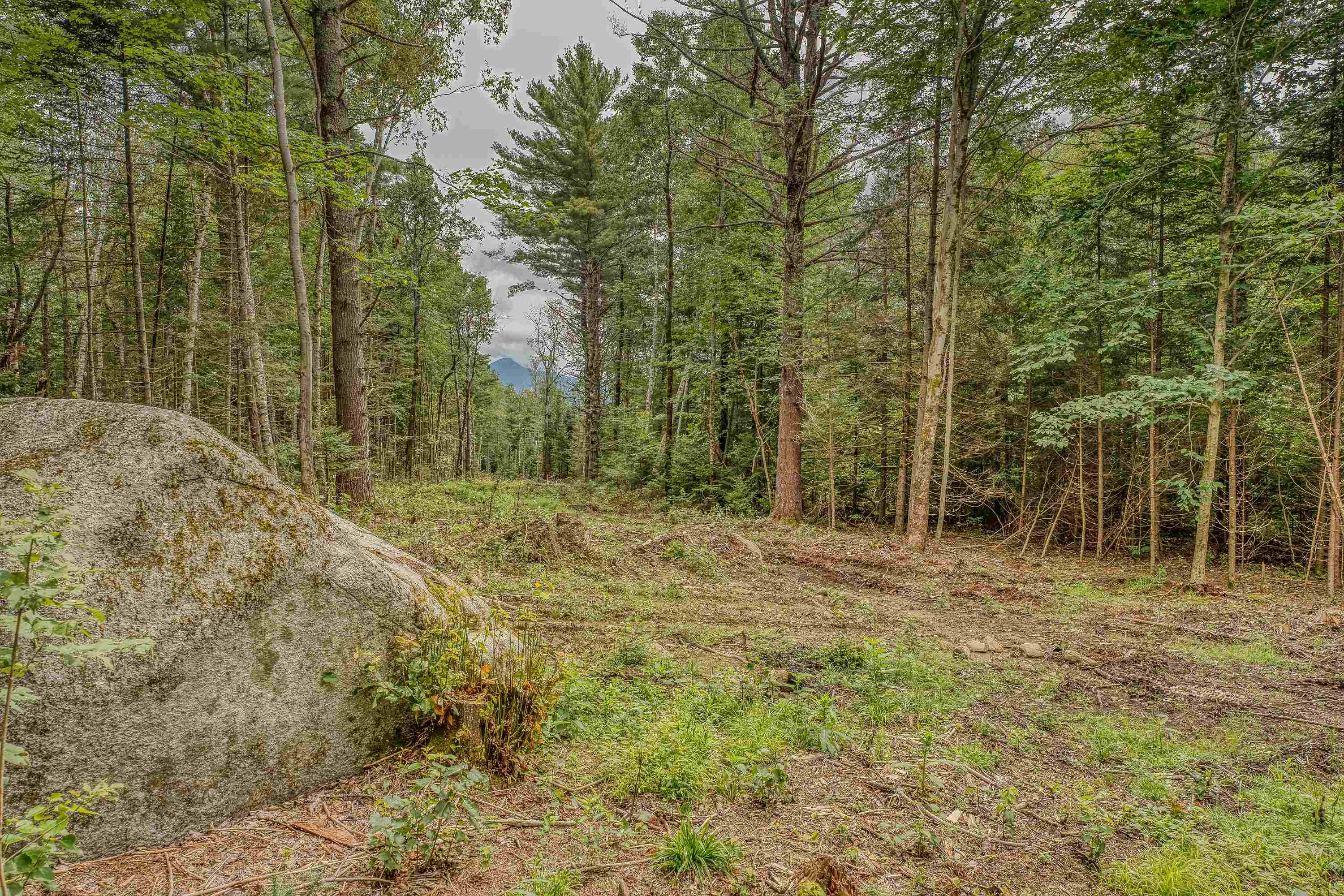 Homes for sale in Bethlehem, NH | 00 Ridge Rd, Bethlehem, NH 03574 | MLS# 5008701