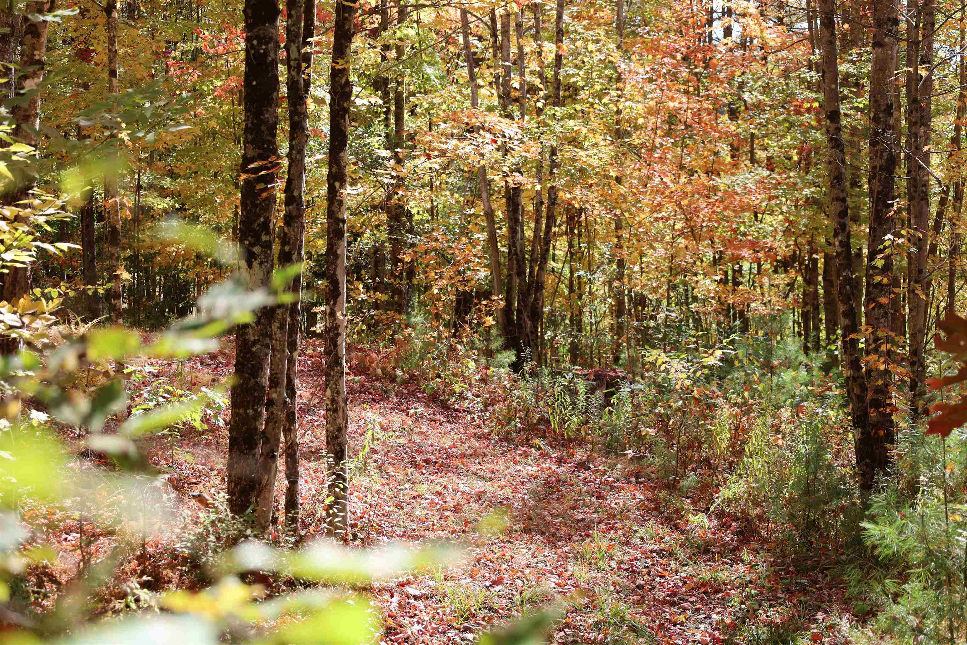 Homes for sale in Waterford, VT | Row Off Daniels Farm Rd, Waterford, VT 05819 | MLS# 5008802