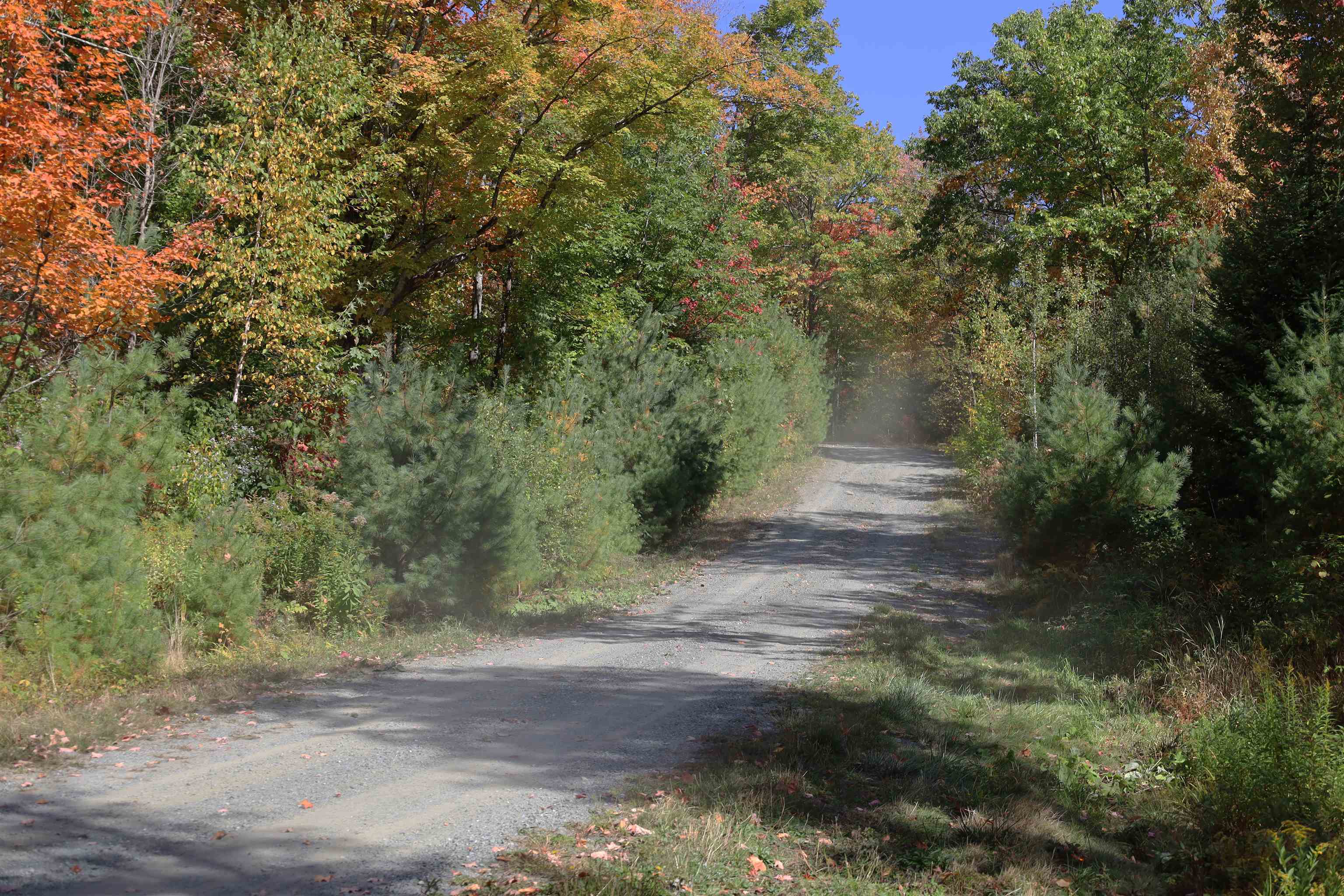 Homes for sale in Waterford, VT | Row Off Daniels Farm Rd, Waterford, VT 05819 | MLS# 5008802