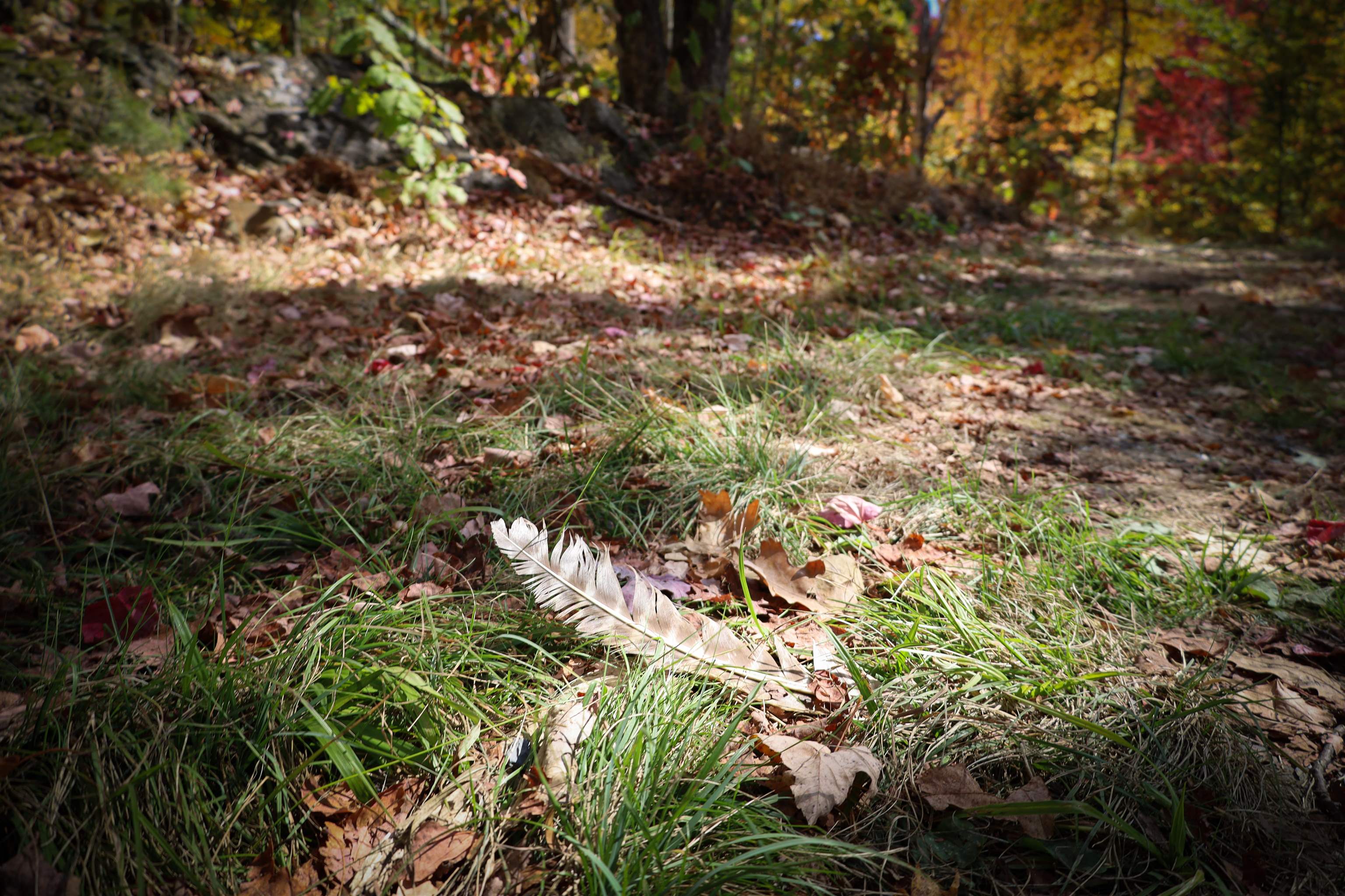 Homes for sale in Waterford, VT | Row Off Daniels Farm Rd, Waterford, VT 05819 | MLS# 5008802