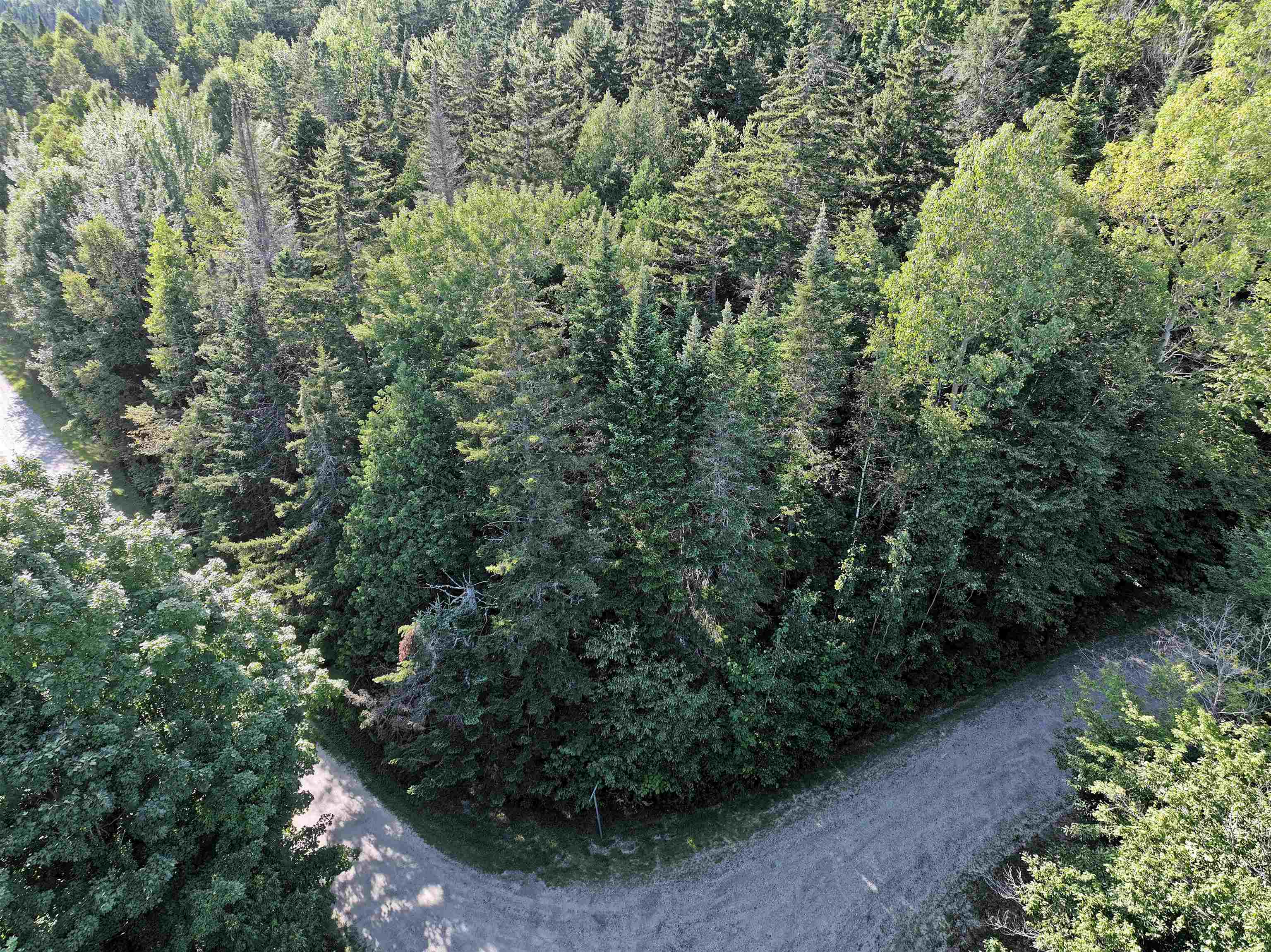 Homes for sale in Charleston, VT | Old Quarry Rd, Charleston, VT 05872 | MLS# 5009139