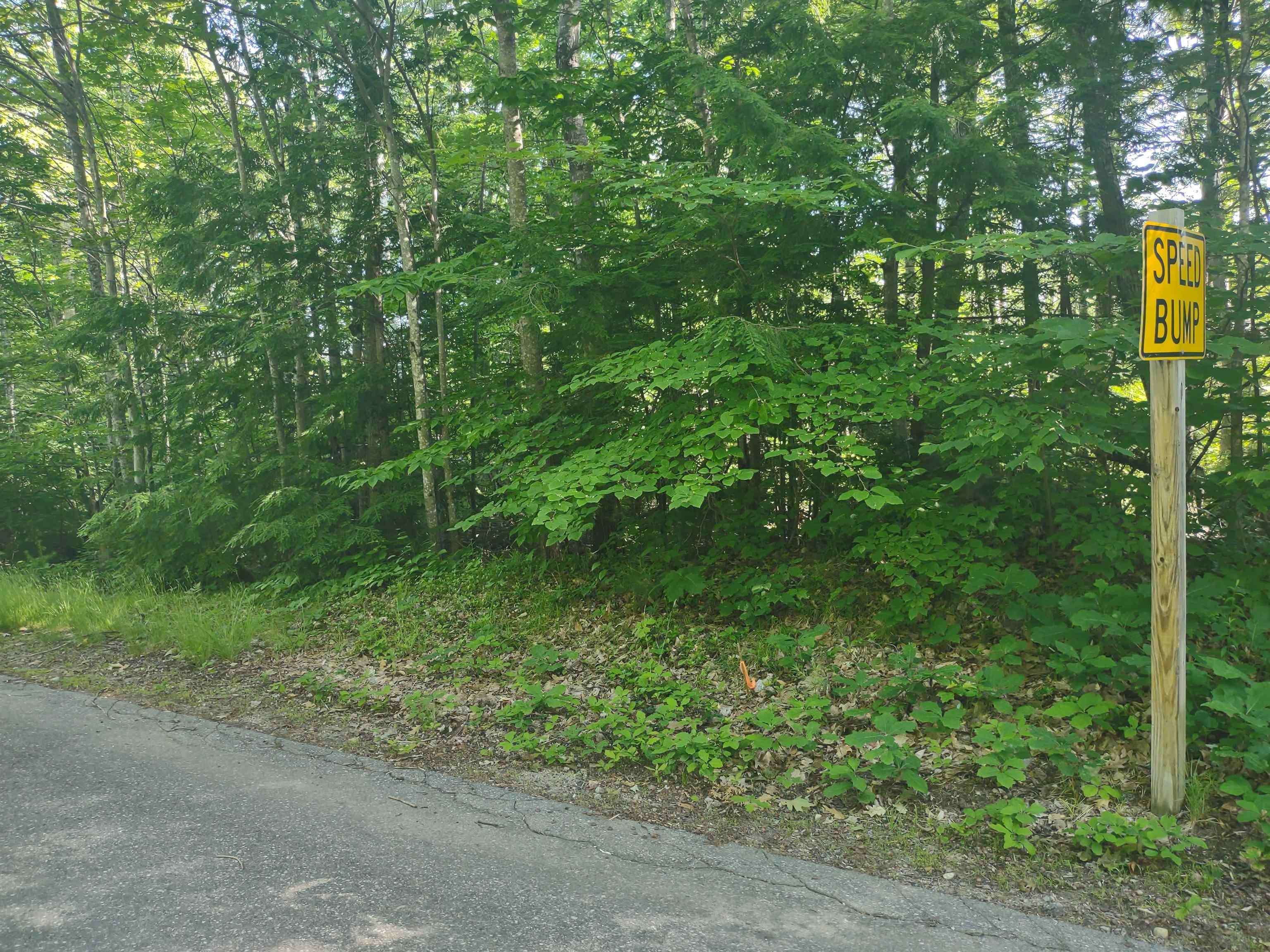 MLS #5009559 image #12