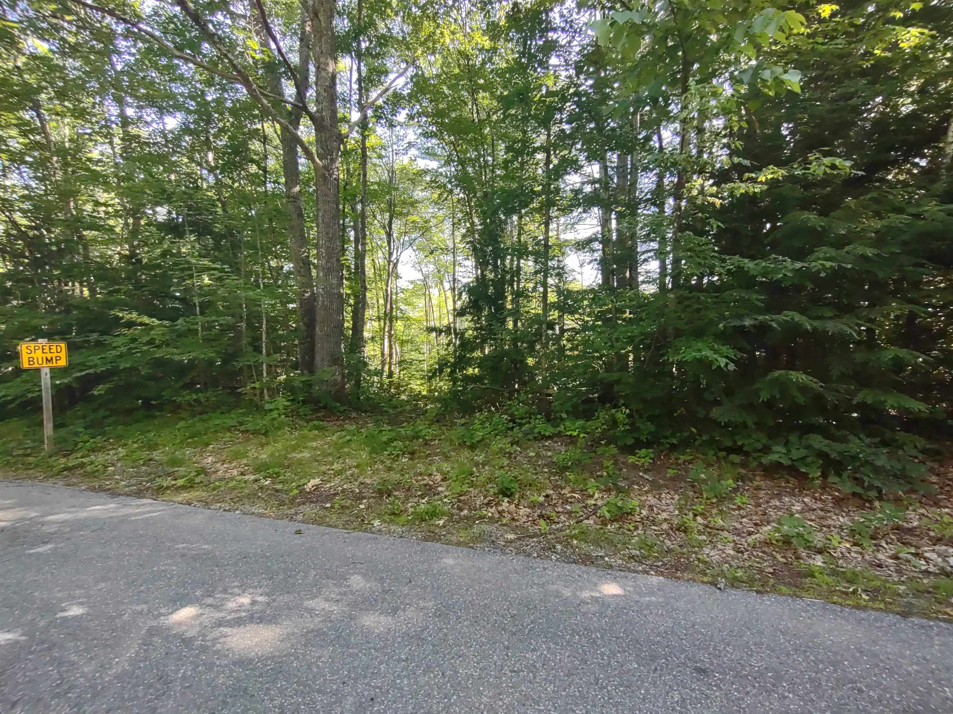 MLS #5009559 image #14