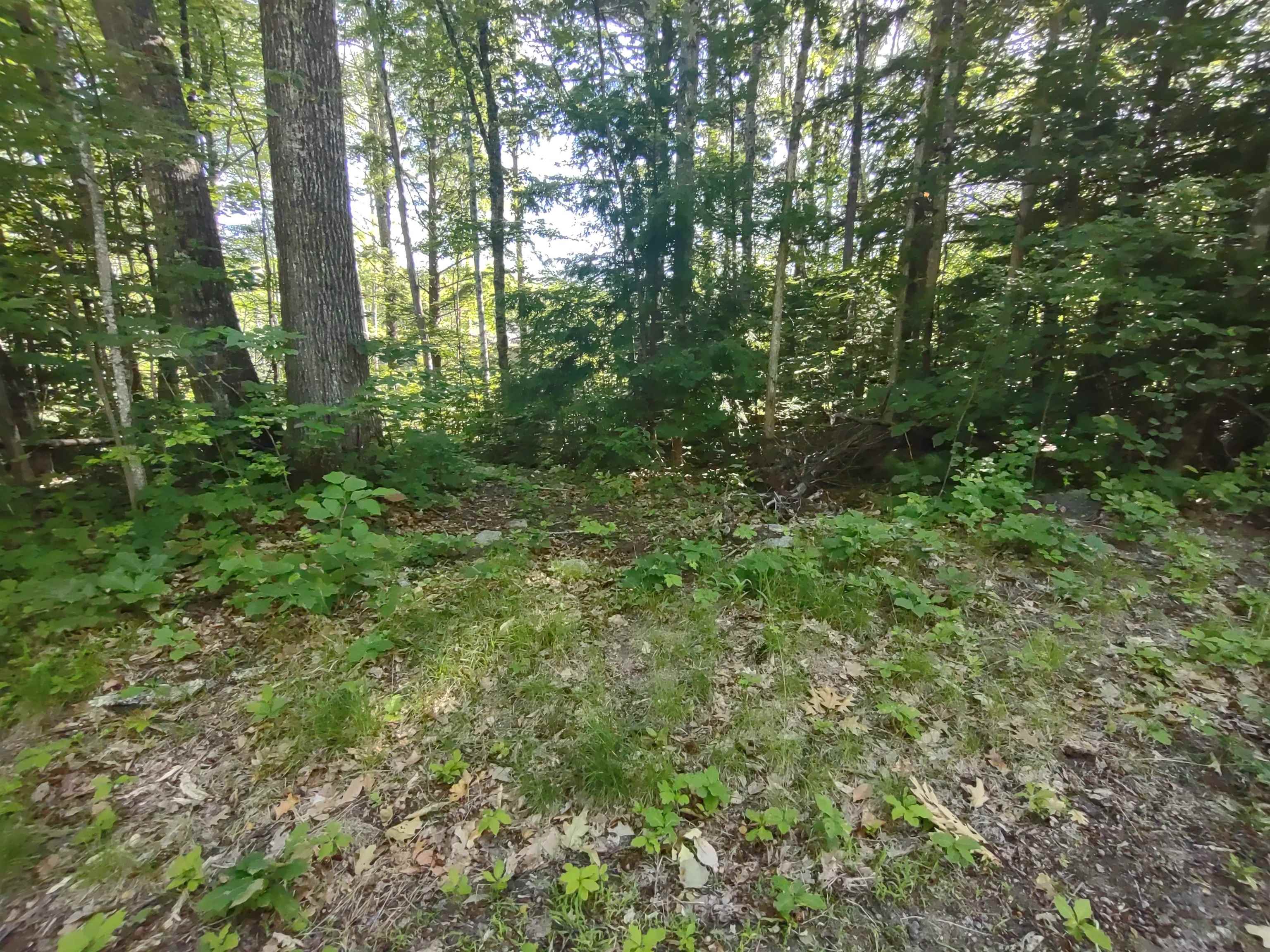 MLS #5009559 image #15