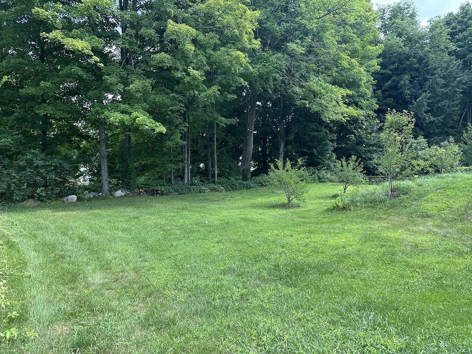 Level grounds 21962952