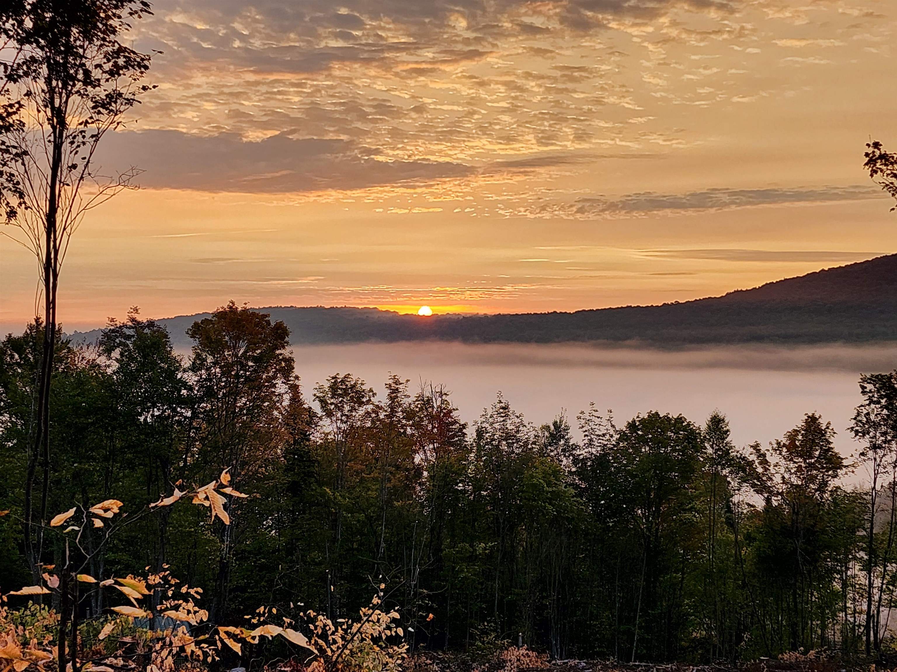   Click for more details  