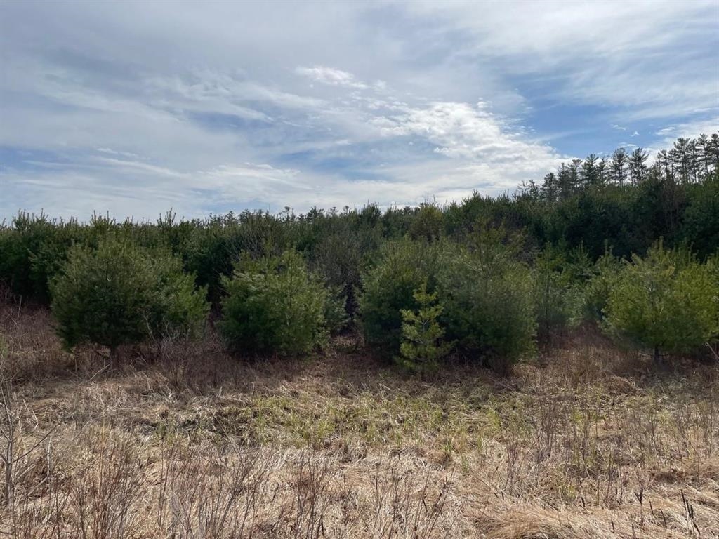 Homes for sale in Plymouth, NH | 023 Yeaton Rd, Plymouth, NH 03264 | MLS# 5010270