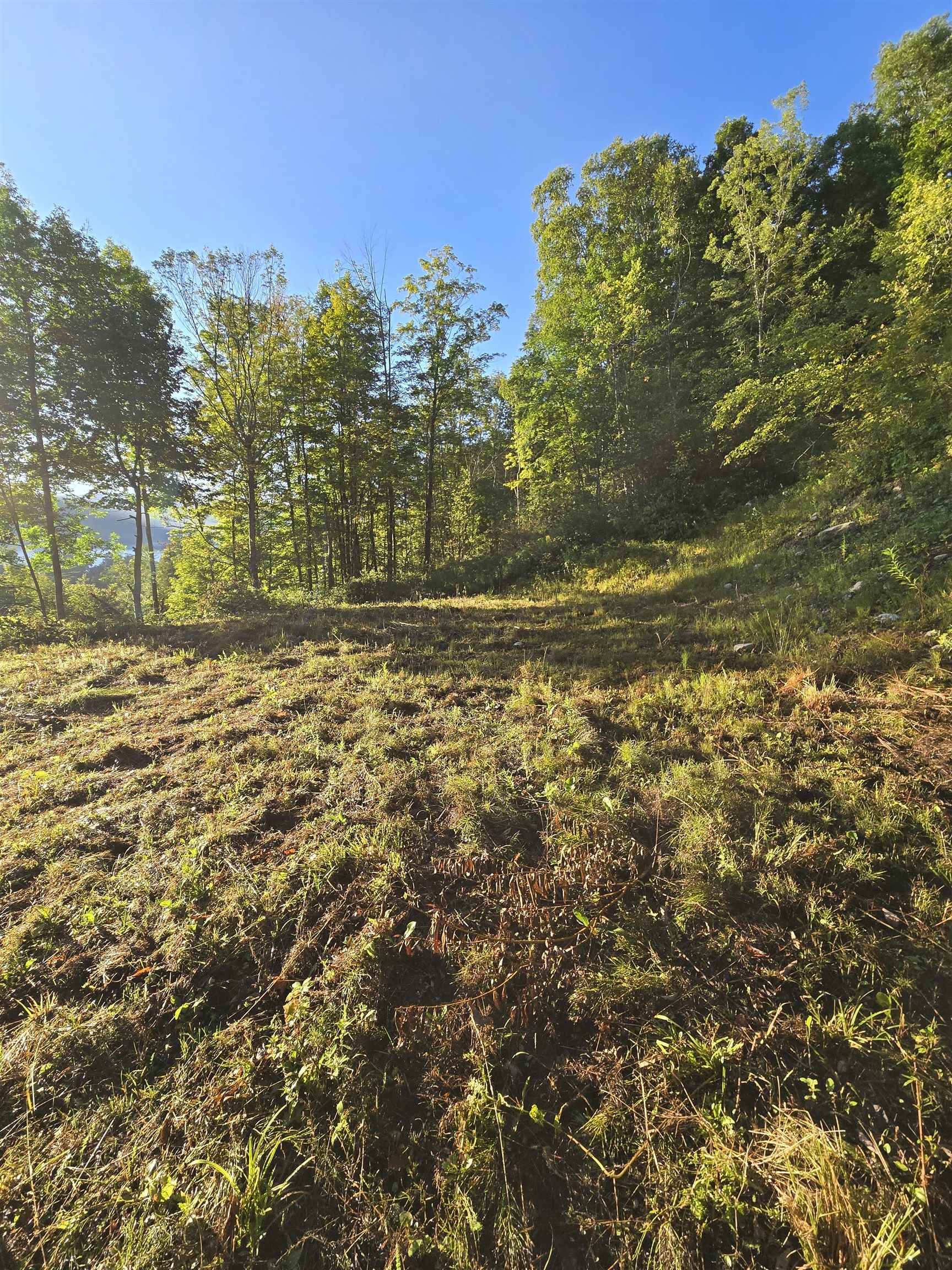 Homes for sale in Danby, VT | 305 Cascade Rd, Danby, VT 05739 | MLS# 5010289